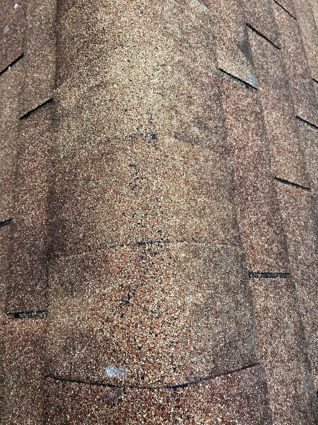 Arlington: CertainTeed Landmark Pro Designer Shingles in Max Def Shenandoah by RM Banning, Inc.