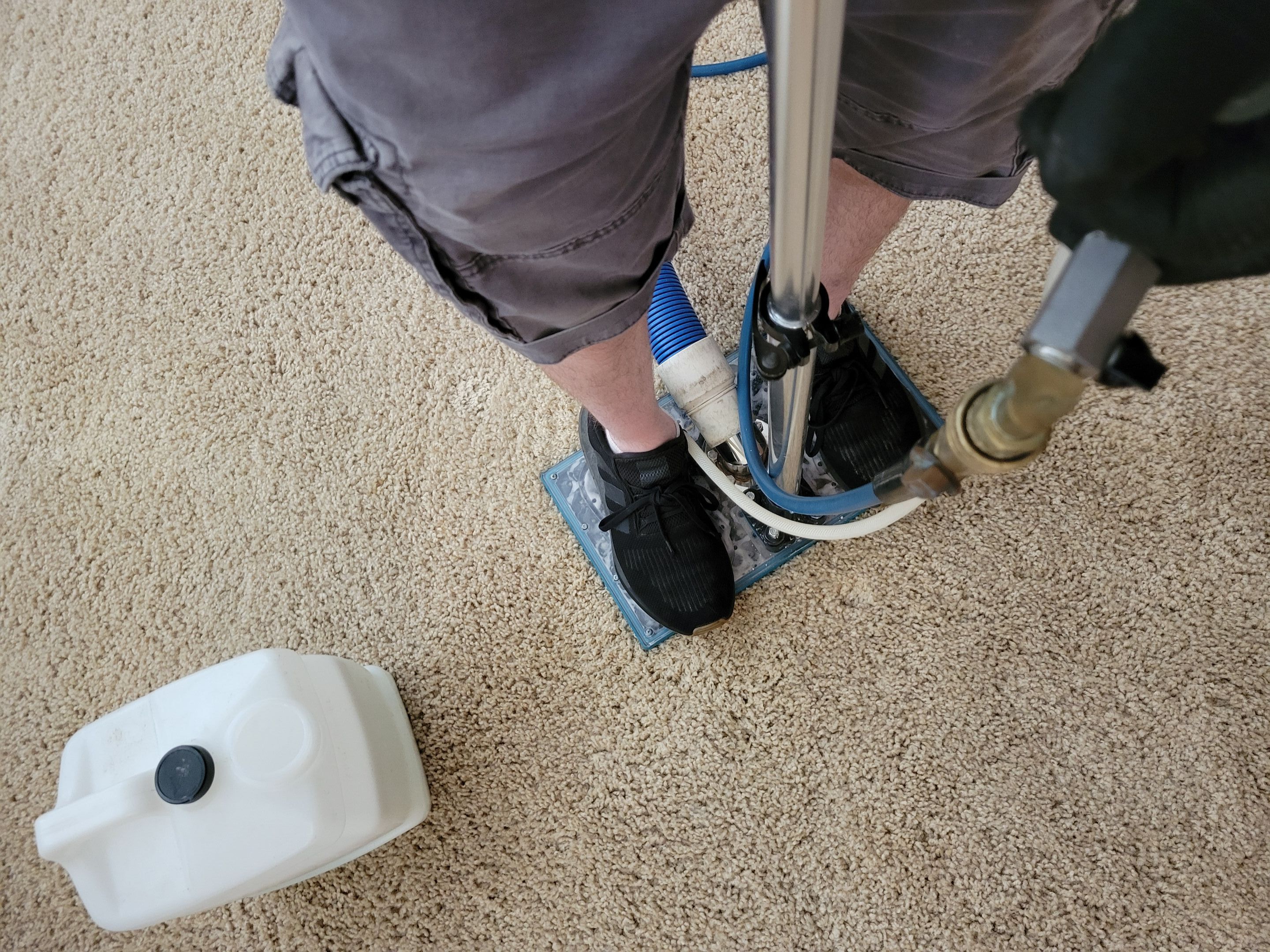 Subsurface Pet Treatment, Carpet Cleaning by Ardent Carpet Restore LLC