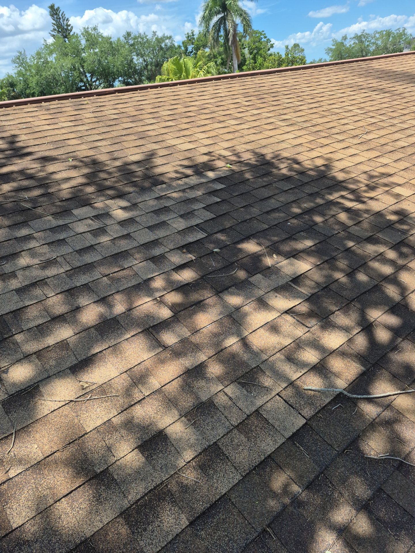Project in St. Petersburg 33703 by Mitchell Roofing Company LLC