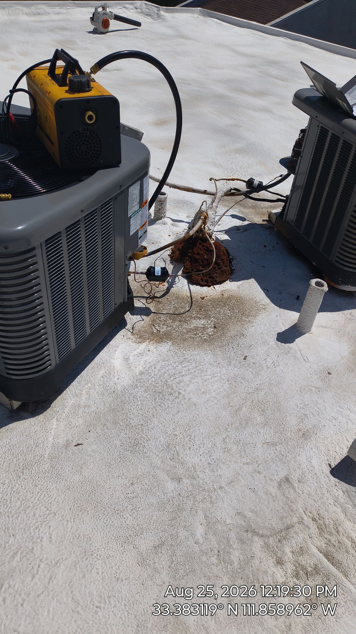 Mesa Apartment Flat Roof Coating and Interior Restoration Services by APM Builders LLC