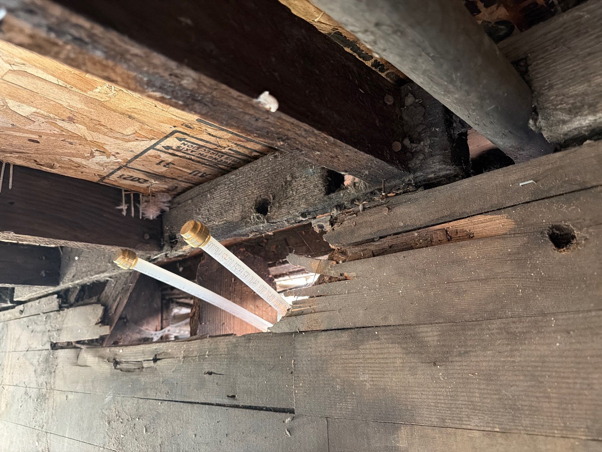 Dry Rot Repairs by Handyman State LLC