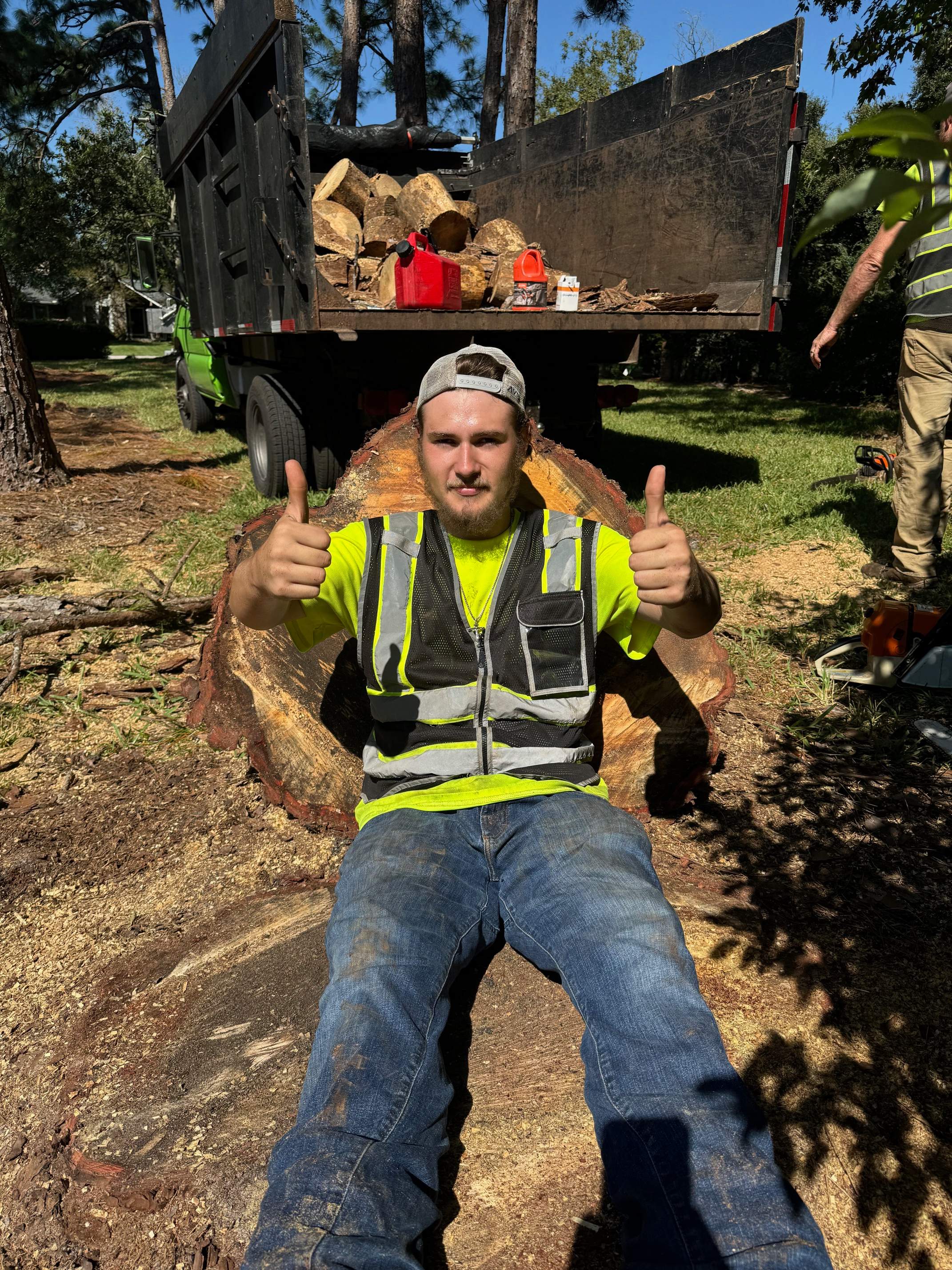 Deerwood Community | Dead Pine Removal by ProGreen Services