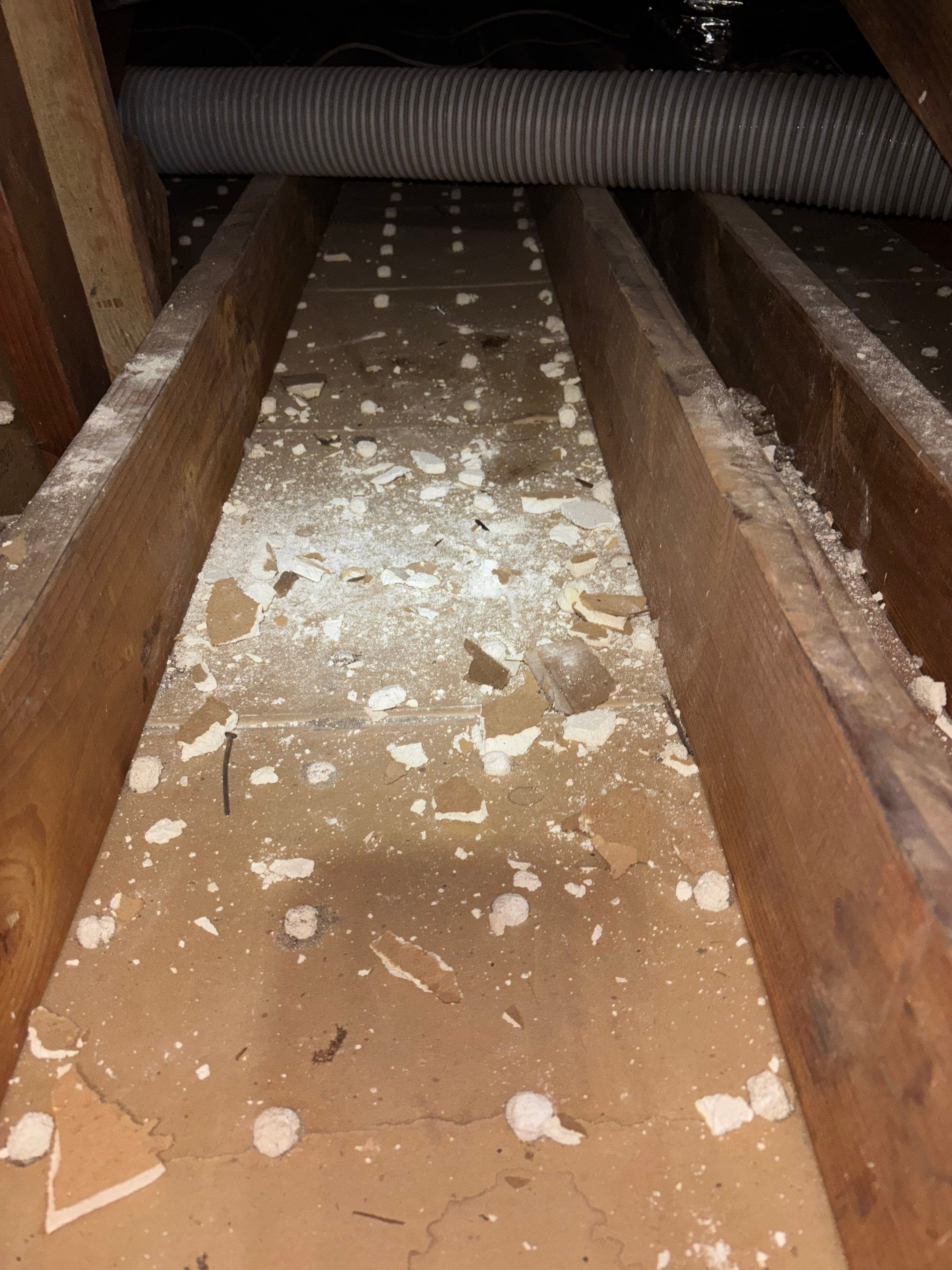 Project in Studio City by Insulation Labs