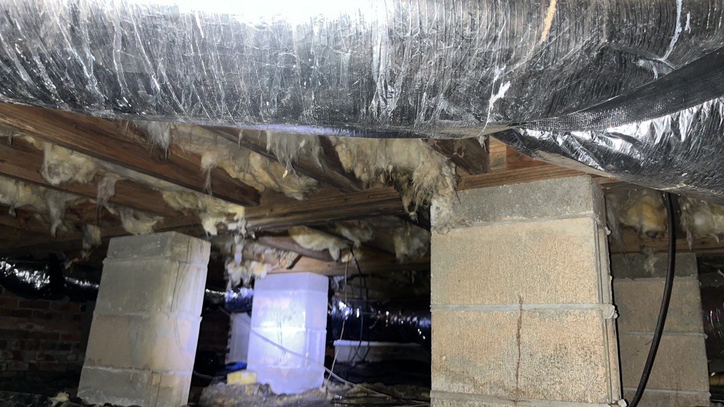 Impact Choice Encapsulation using YCS Pro Cleaner by Impact Crawlspace