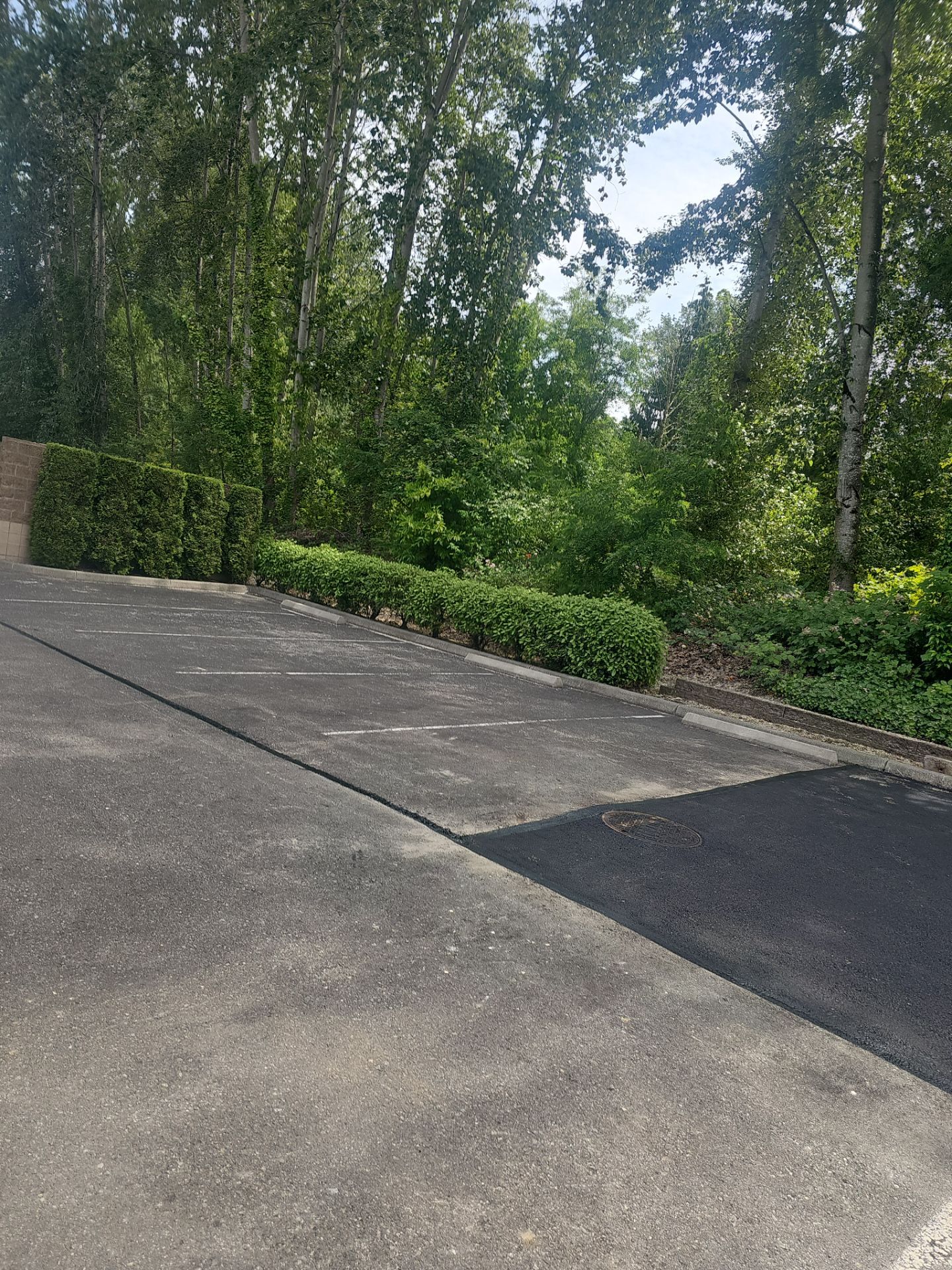 Asphalt Patch Repair & Concrete Curb Renovation | Kirkland  by Jireh Asphalt & Concrete Inc 