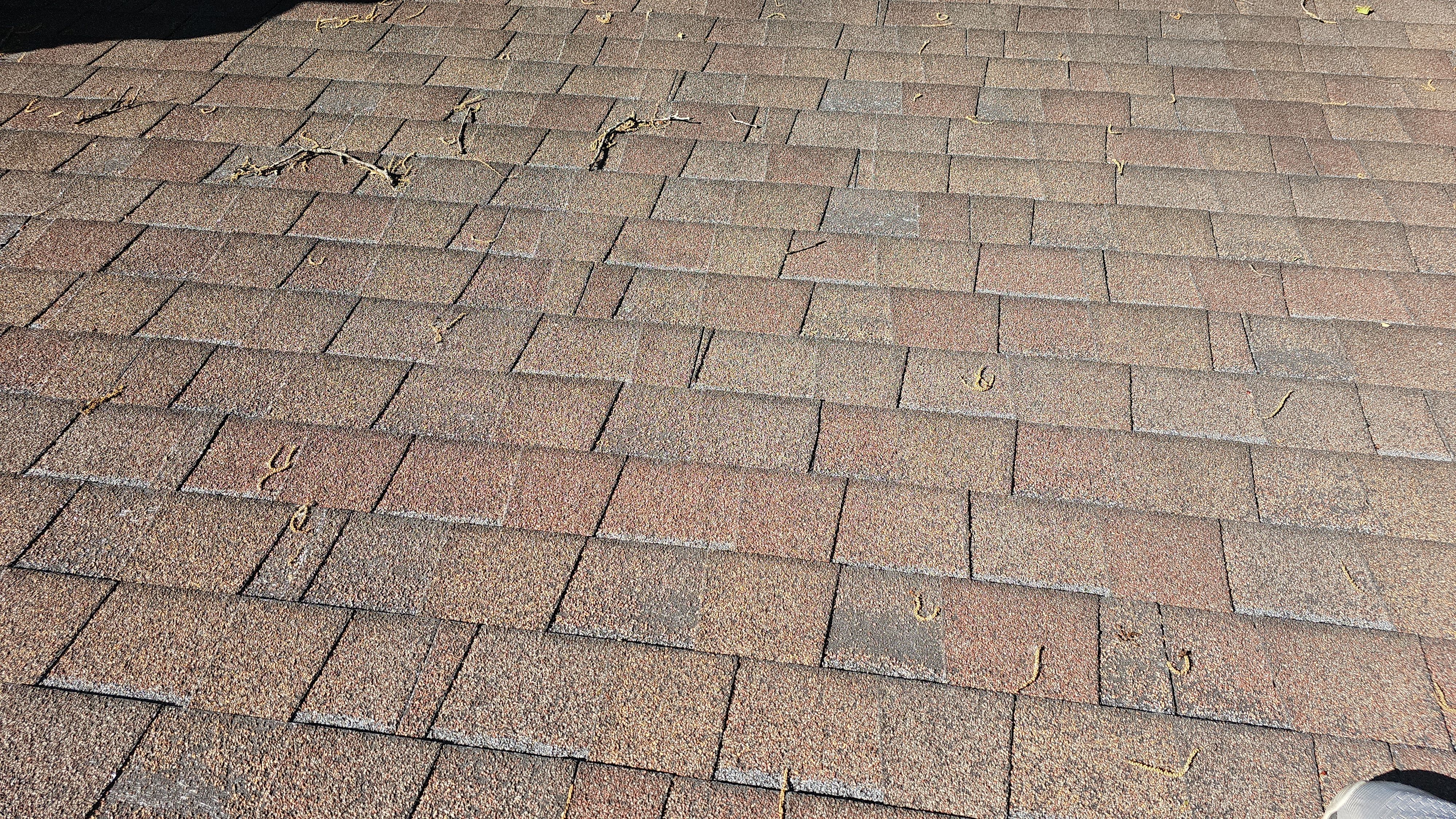 Atlas Pinnacle, Color, Woodland Green, Drip Edge, Color, White by Eagle Eye Roofing