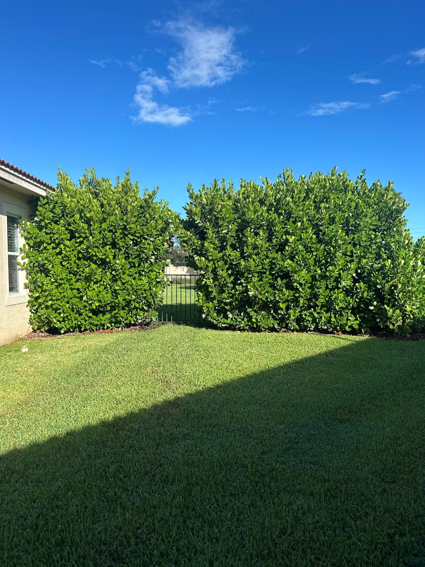 From Overgrown to Picture-Perfect - Stuart Refresh by Alpha Zeta Enterprises Inc