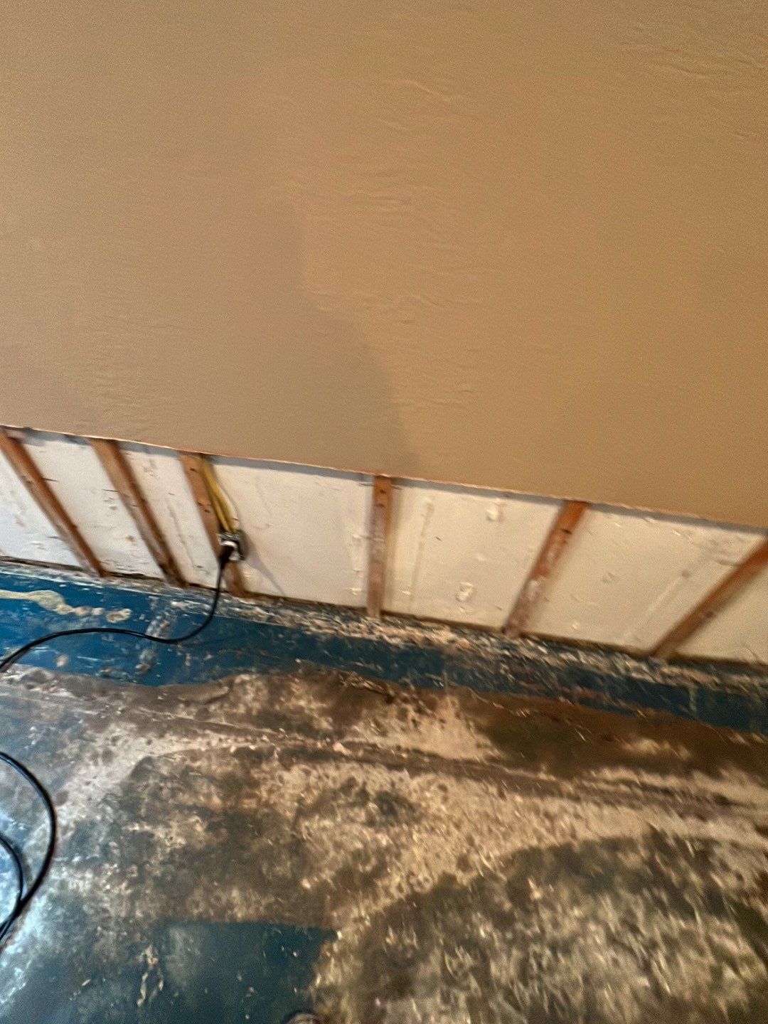 Mold Damage by Accountable Home Services