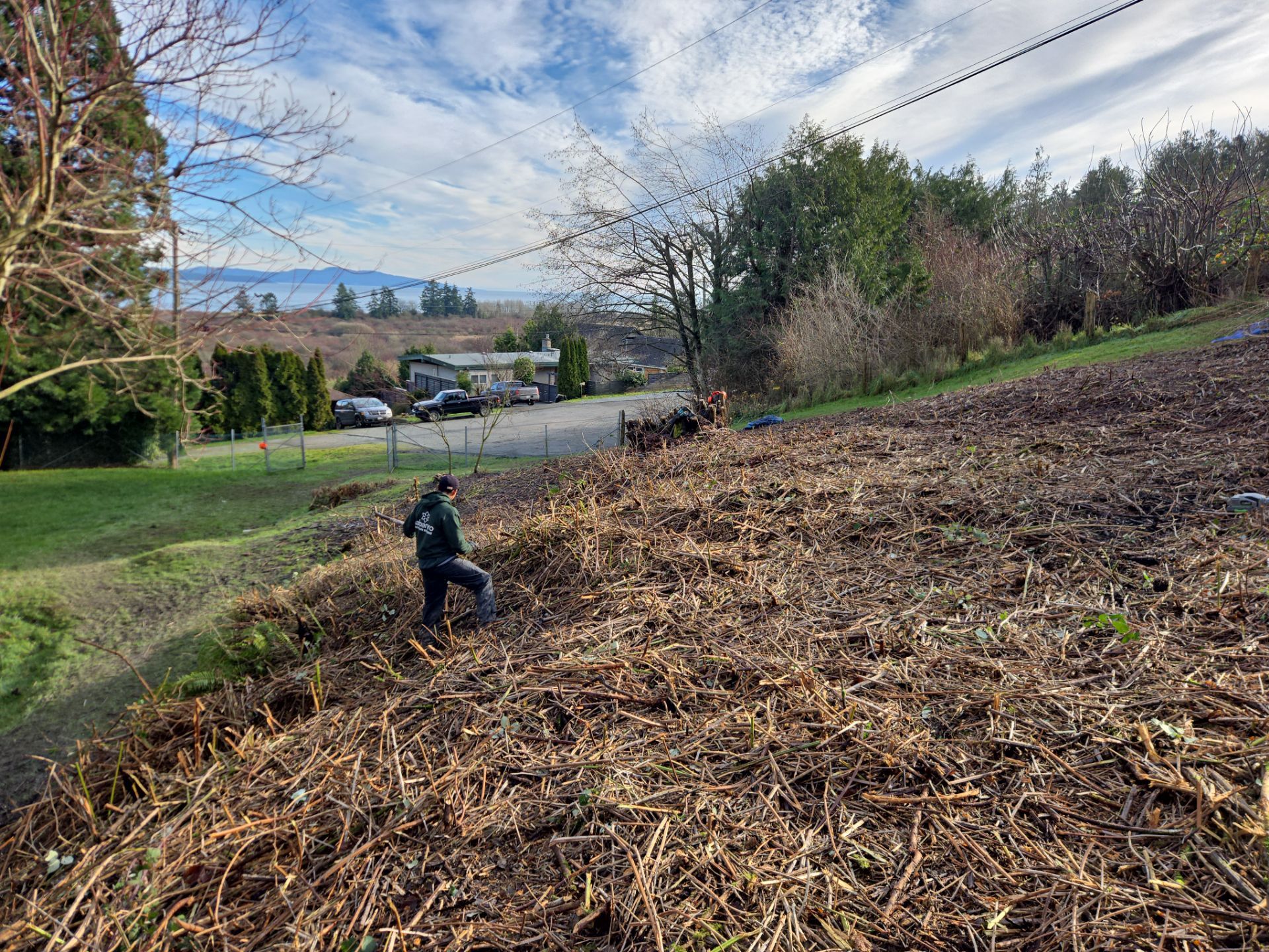 Island View - Ecological Restoration & Stewardship by Habanero Landscape Solutions
