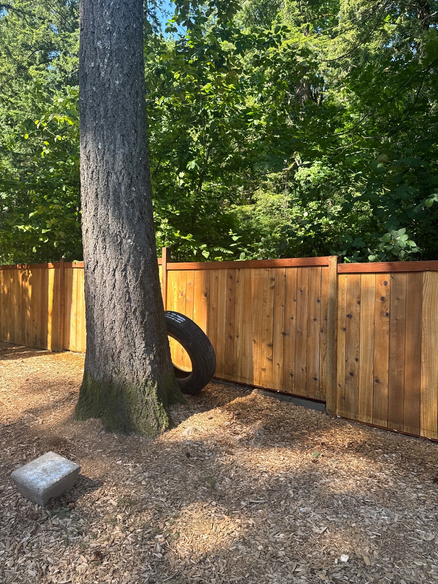 Project in North Bend by Clean Buildings