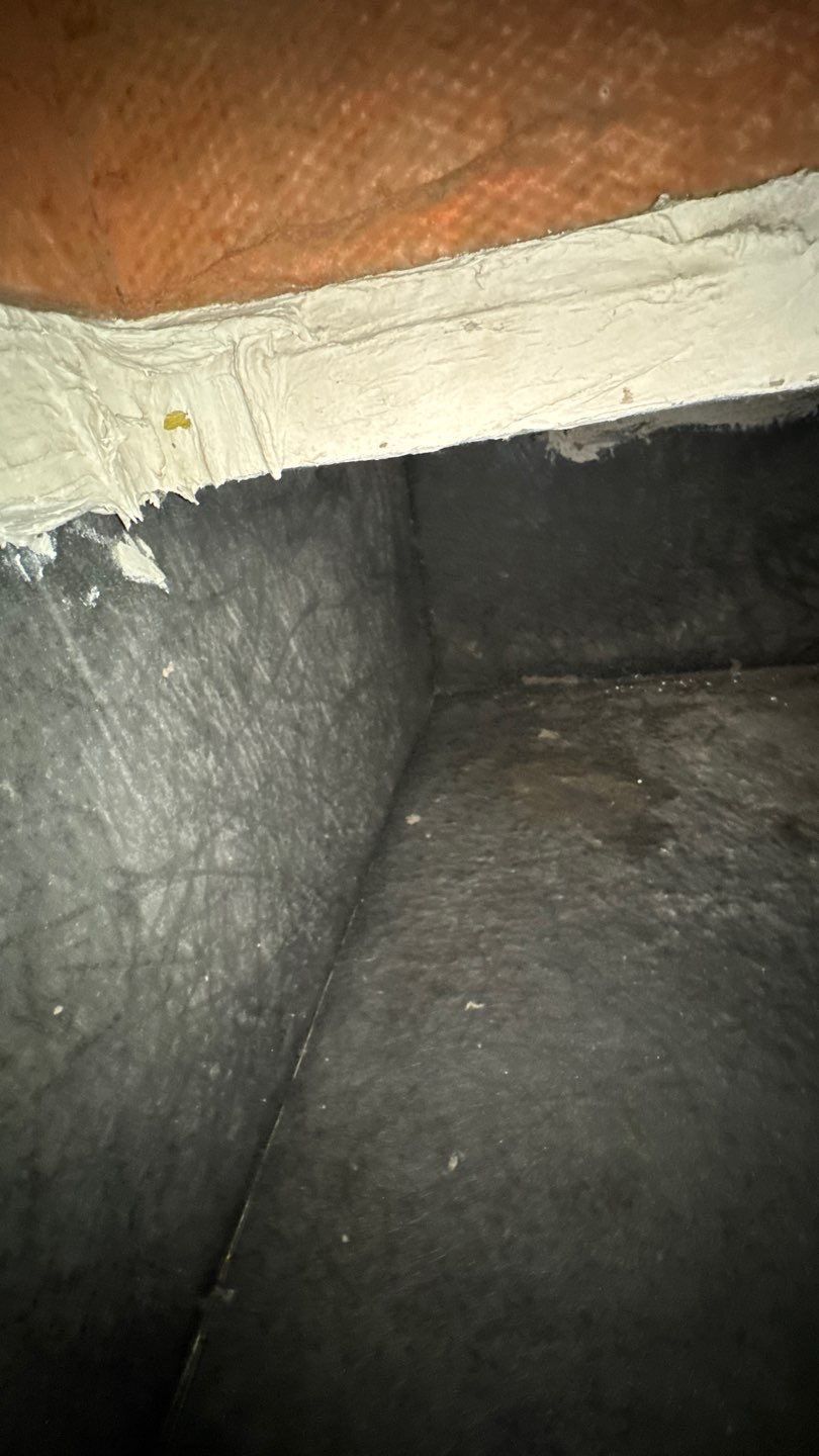 Air Duct Cleaning in Longwood by Hygienic Air, Inc