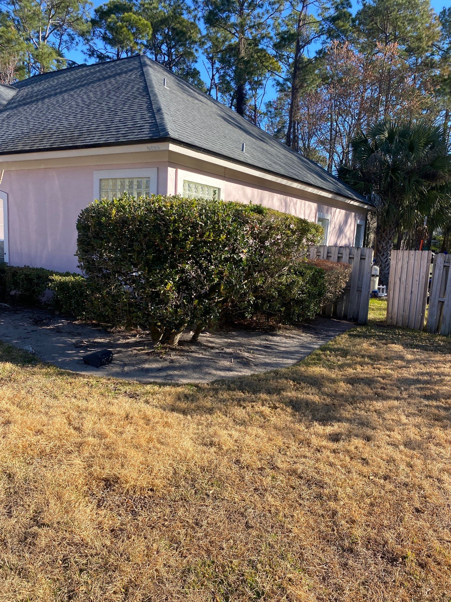 Deerwood Resident | Tree Removal & Clean-Up by ProGreen Services