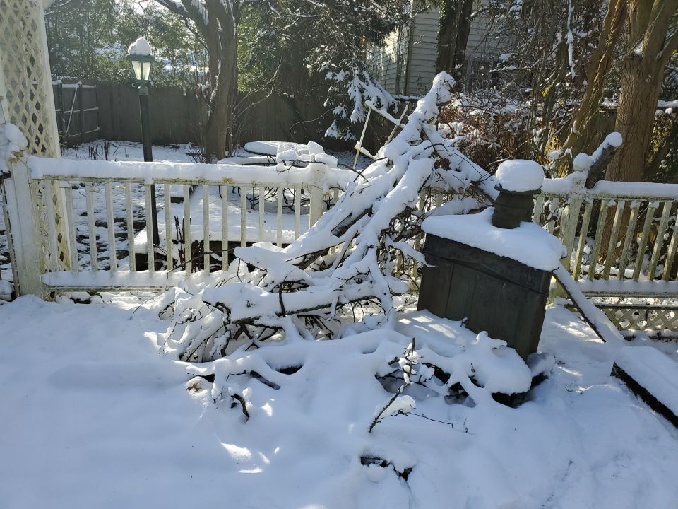 Tree Removal using Tree Removal by Mike Jones & Sons Tree Service LLC 