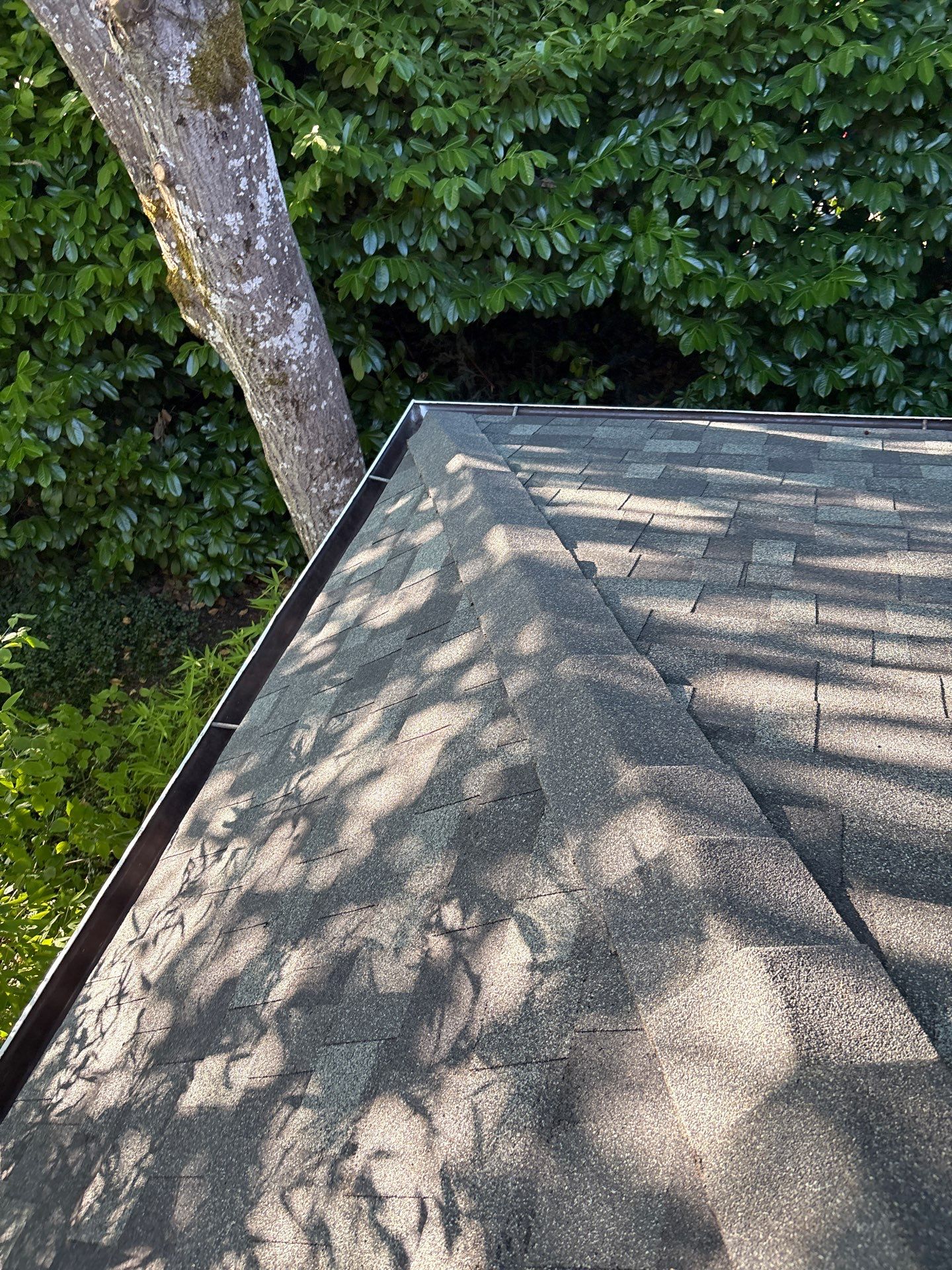 Springfield Residential Reroof Featuring New Sheathing and Synthetic Underlayment by BEST Roofing & Waterproofing
