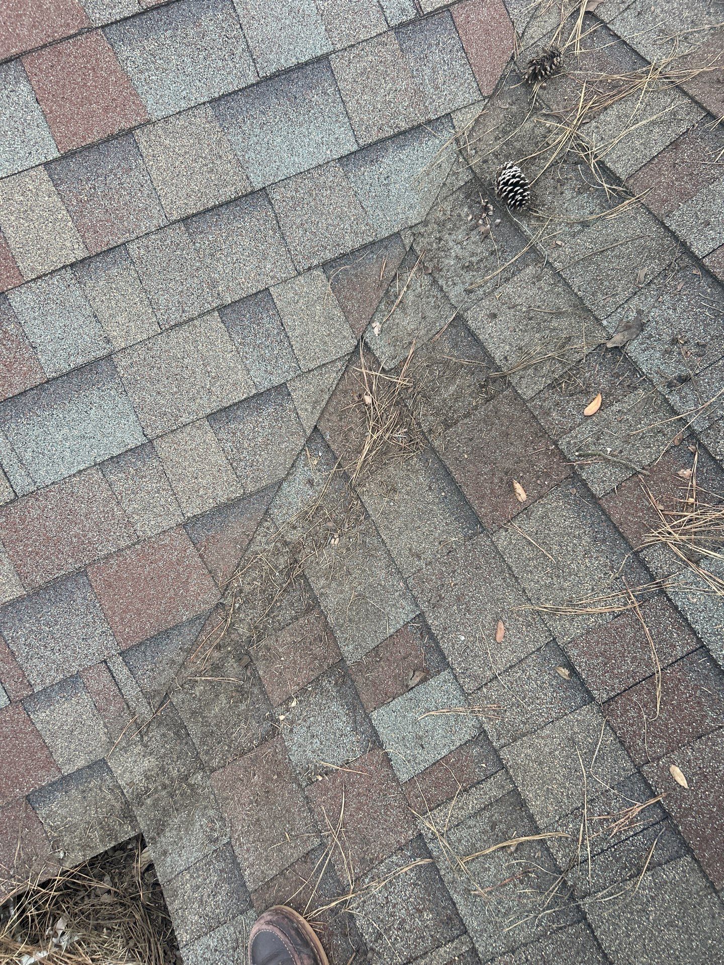 Roof Repair Spring by Roof Repair Company