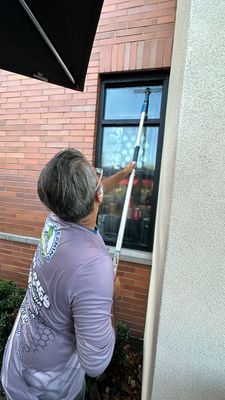 Restaurant wash to get rid of cobwebs