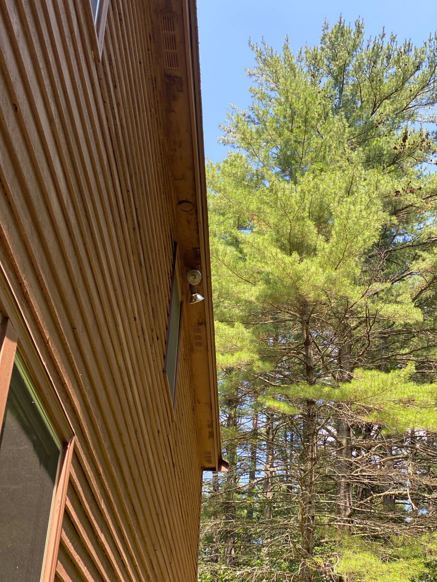 Roof Replacement – Rosalie Brown, MA by Mighty Dog Roofing of Greater Middlesex County