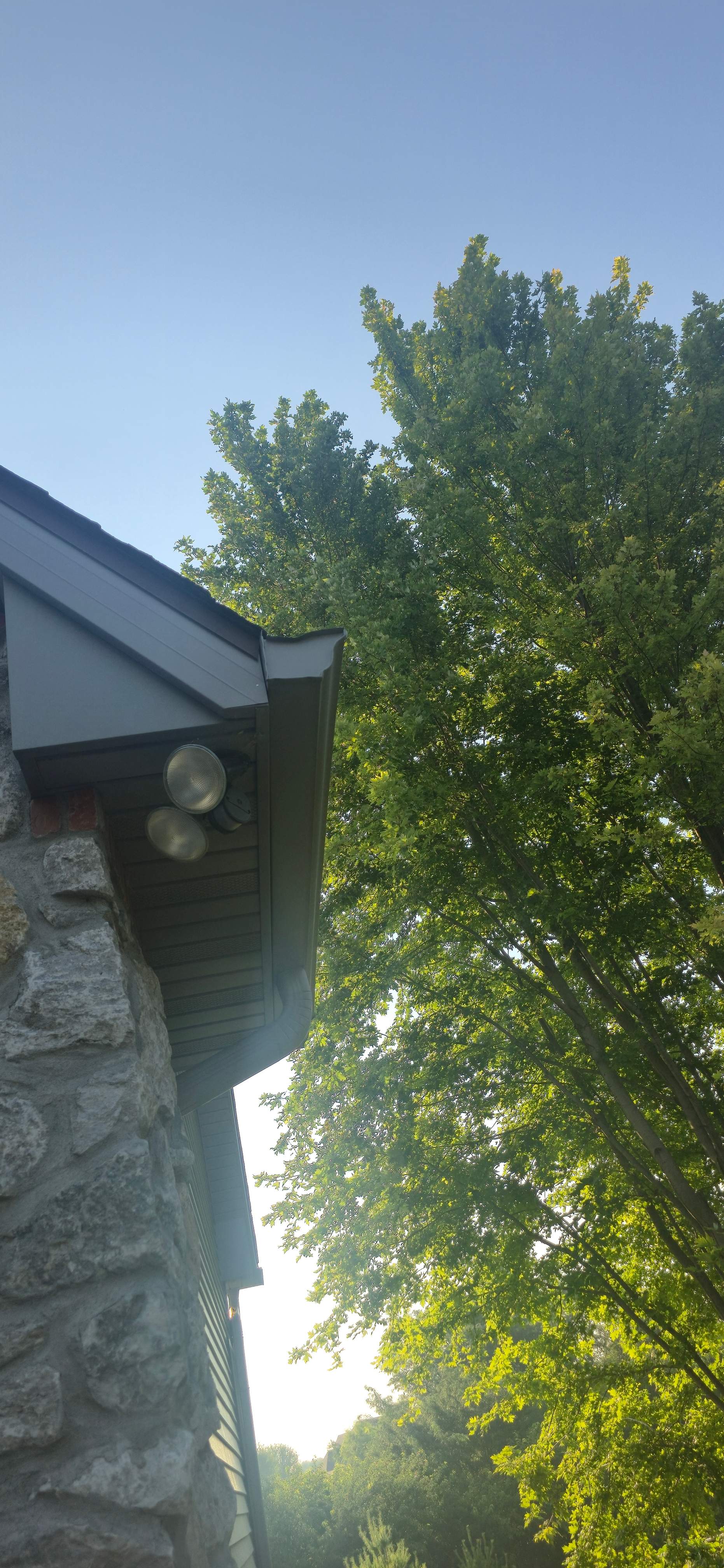 Roof Replacement by Sieren Roofing Services 