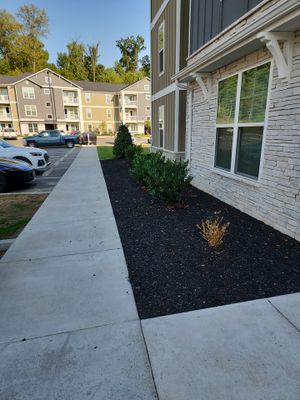 Commercial Property Maintenance