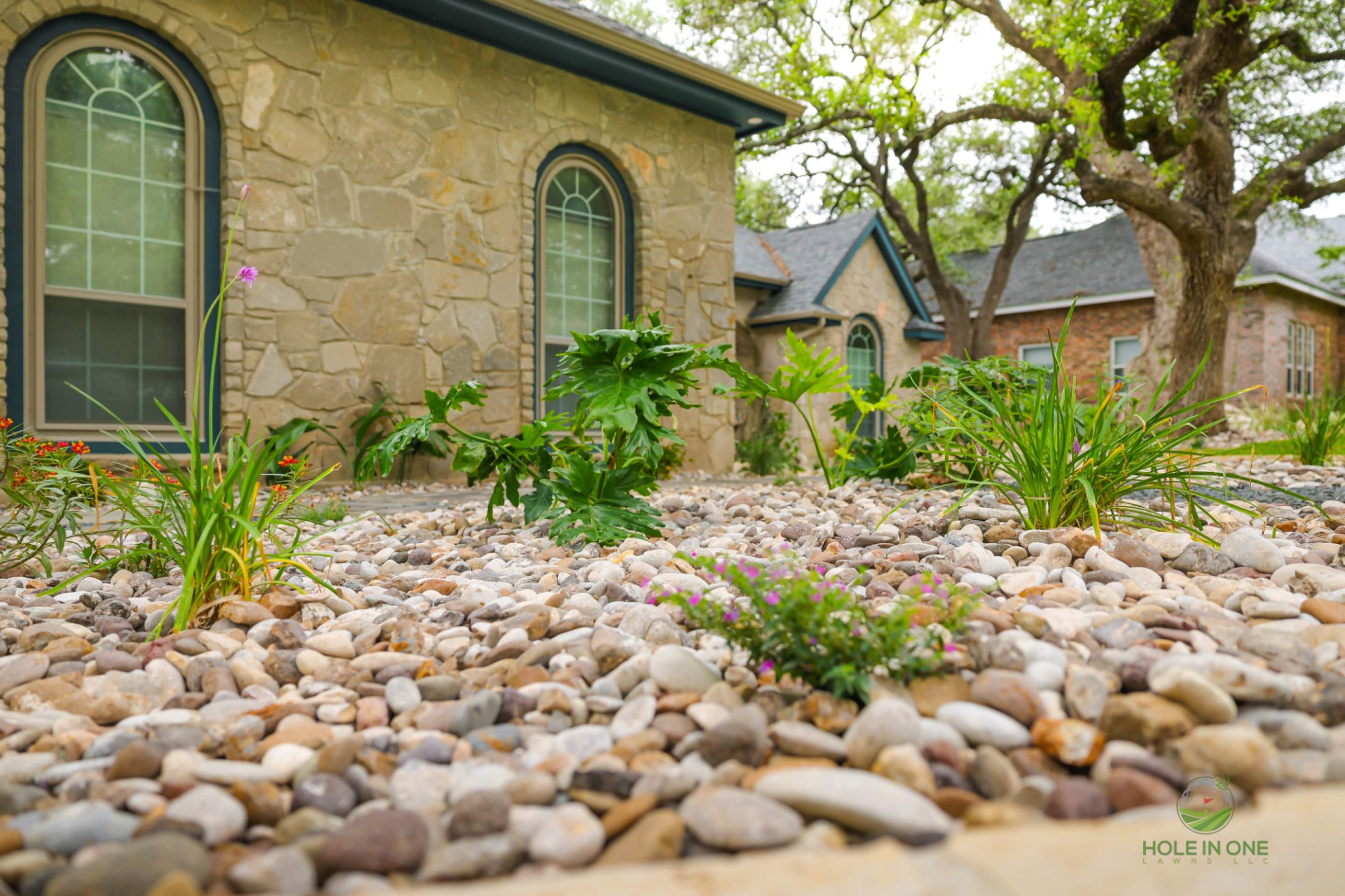 Vista Del Norte, San Antonio TX by Hole In One Lawns, LLC