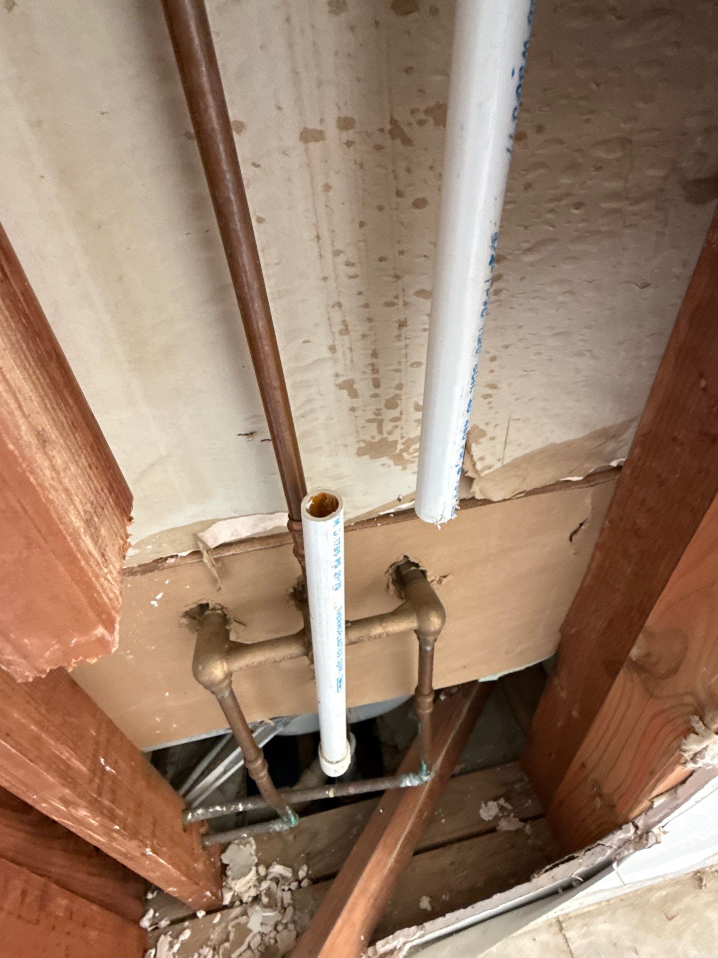 Glen rose by American Builders 