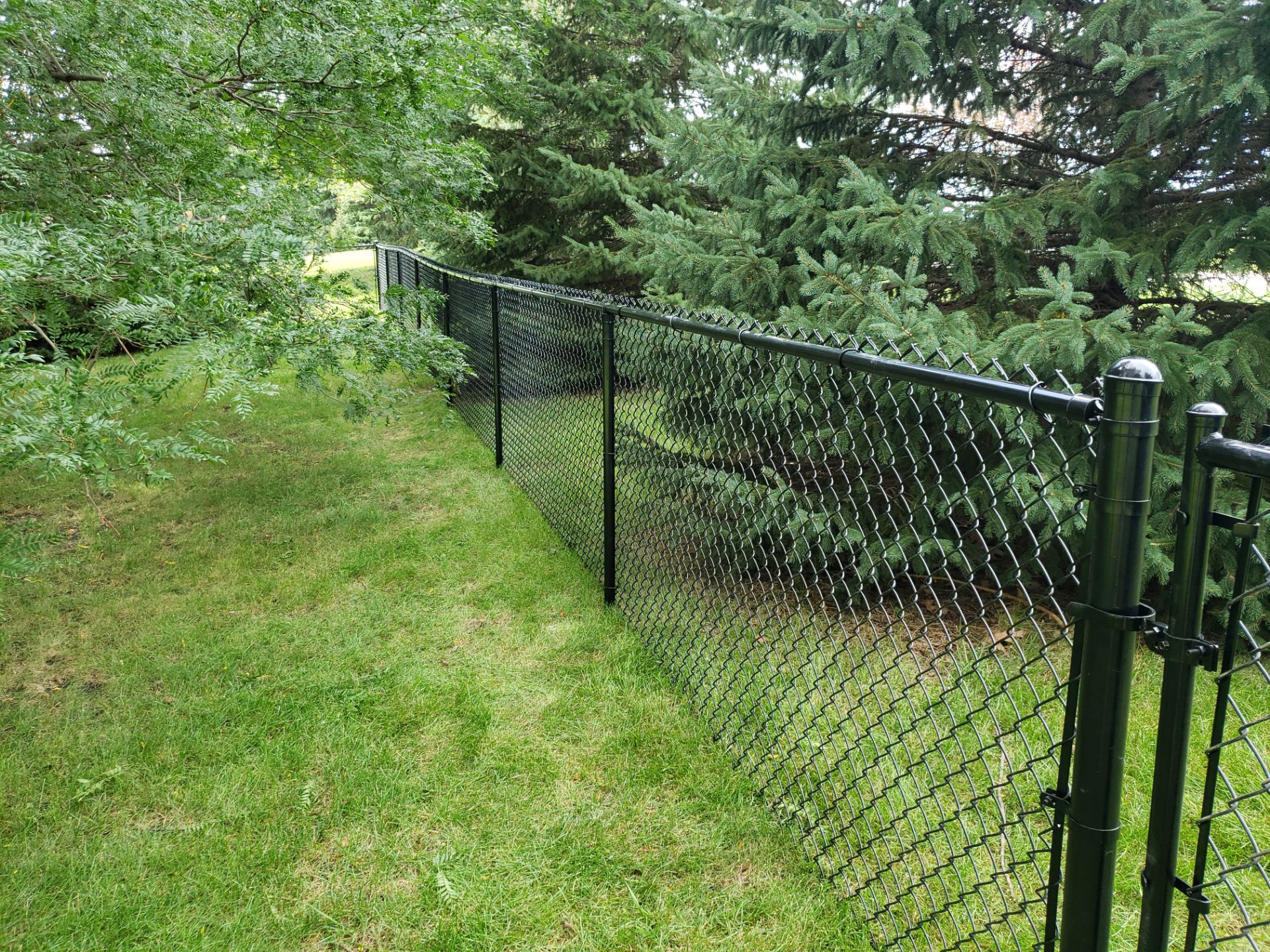 Black Vinyl-Coated Chain Link Fence Installation in Cedar Falls by Perfect Picket Fence and Stain