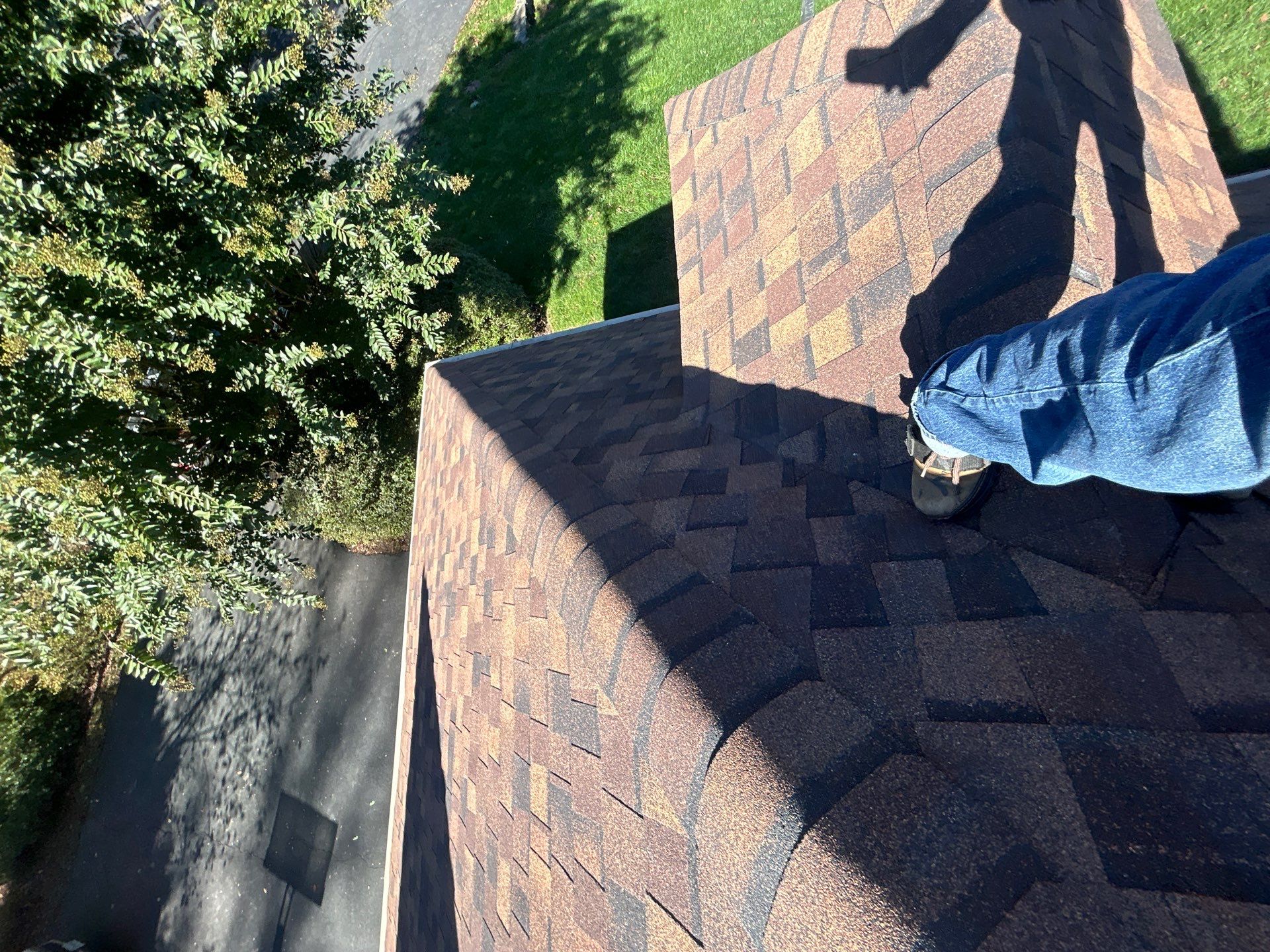 Great Falls : Residential Roof Replacement with CertainTeed Landmark Pro in Max Def Burnt Sienna  by RM Banning, Inc.