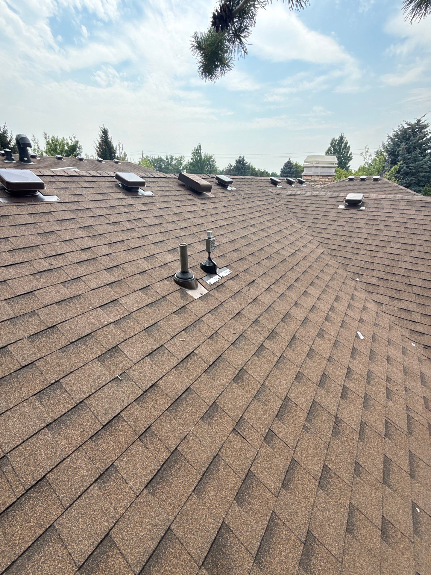 Boise Commercial Roof Replacement with Brown Architectural Shingles by Olive Roofing