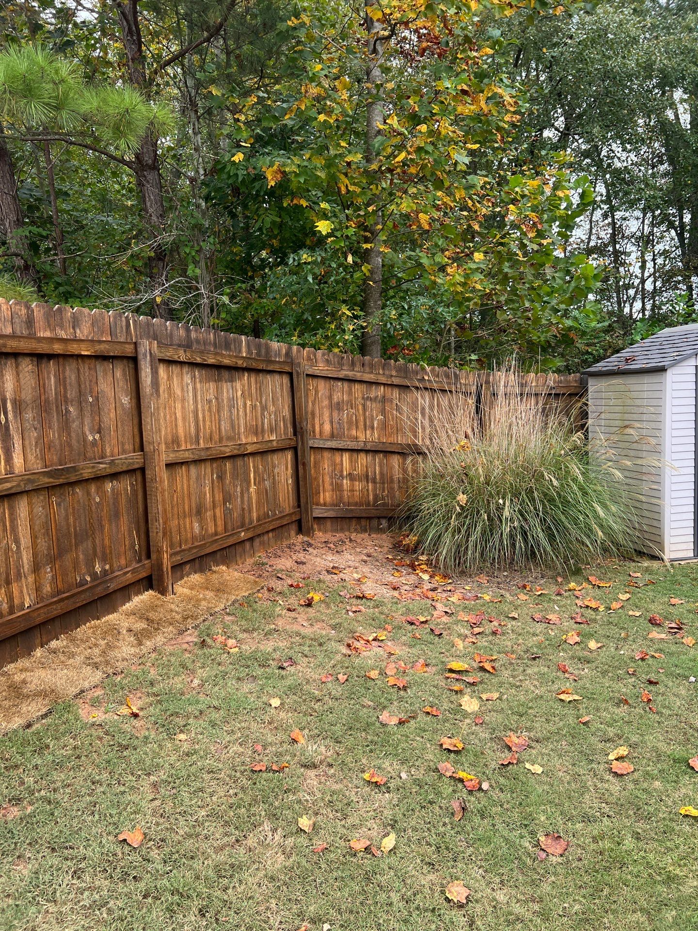 Fence Restoration using Chocolate by SSE by Titans of Timber Fence & Stain