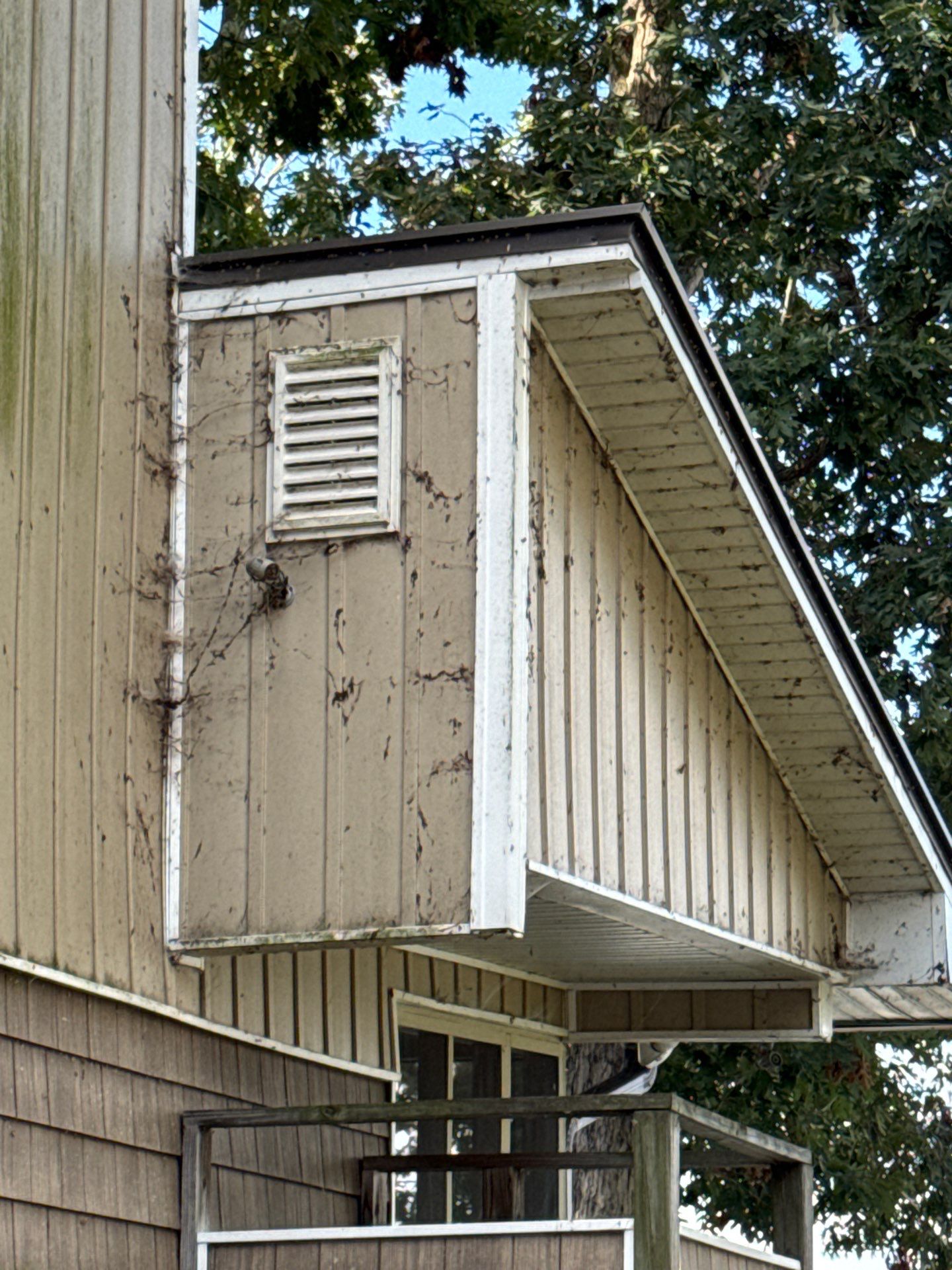 the service shown is cleaning exterior siding and removing dirt and grime from the building's surface