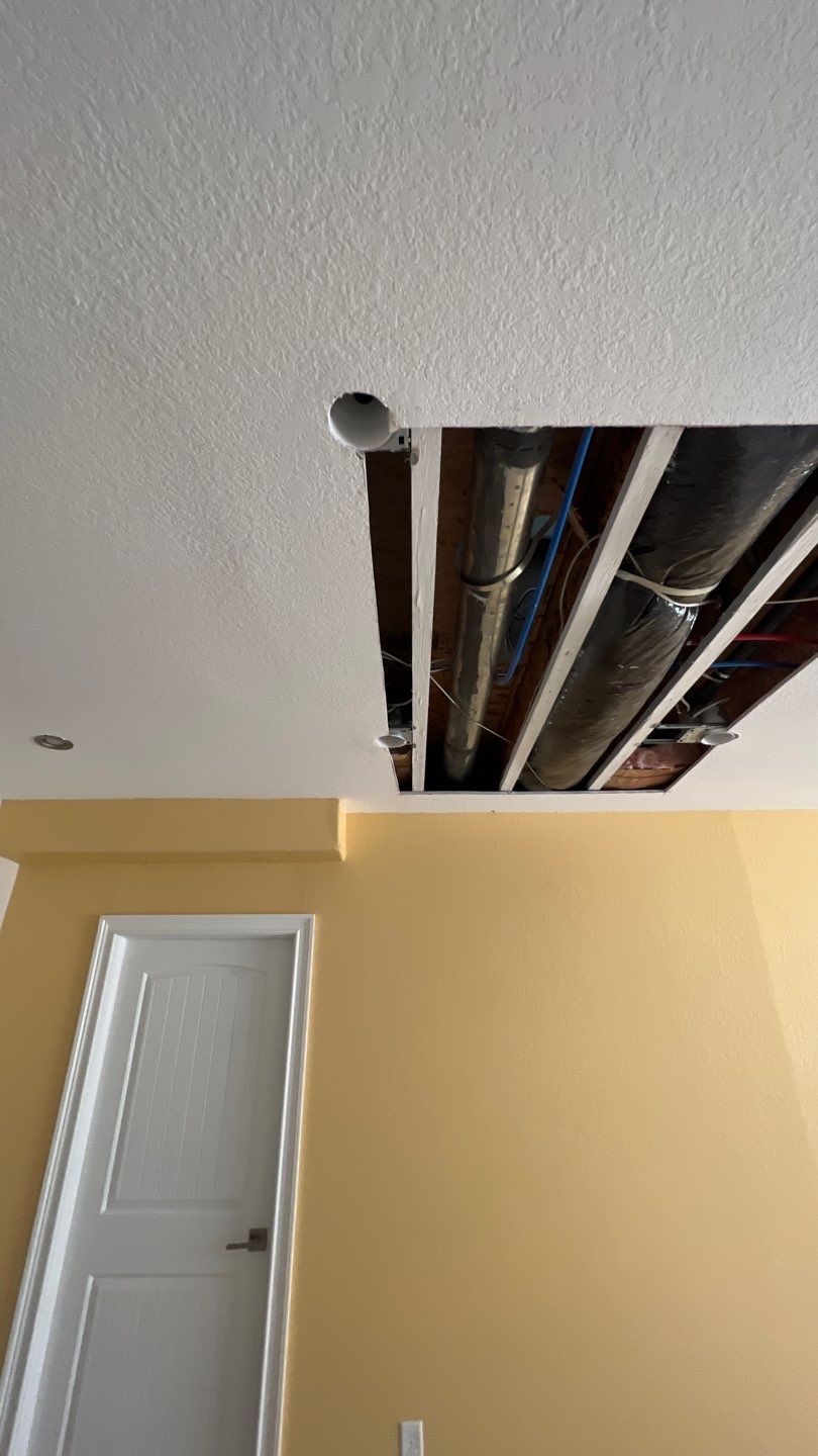 Mold Remediation by Accountable Home Services