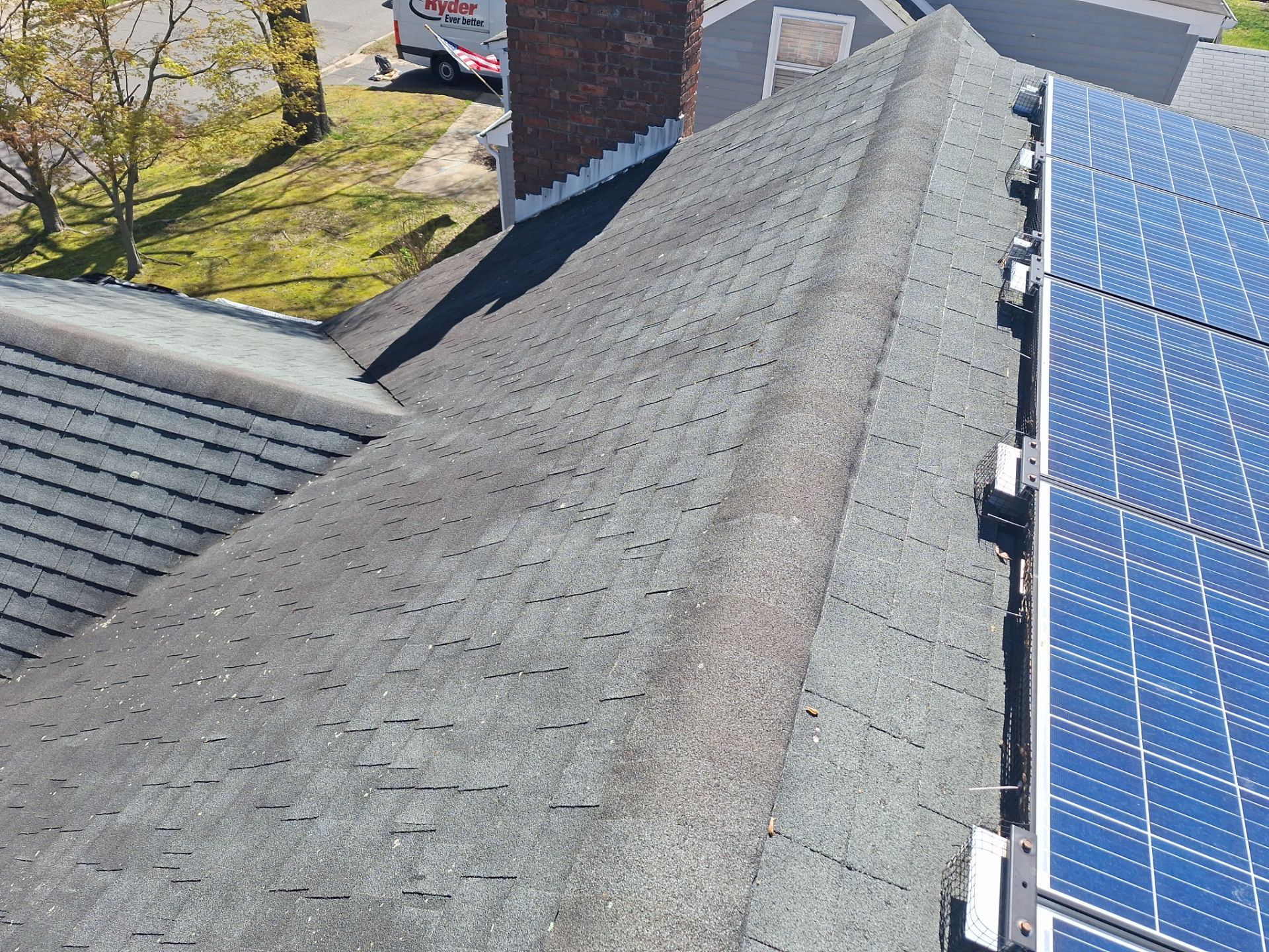 Silver Birch Shingles by Reimagine Roofing