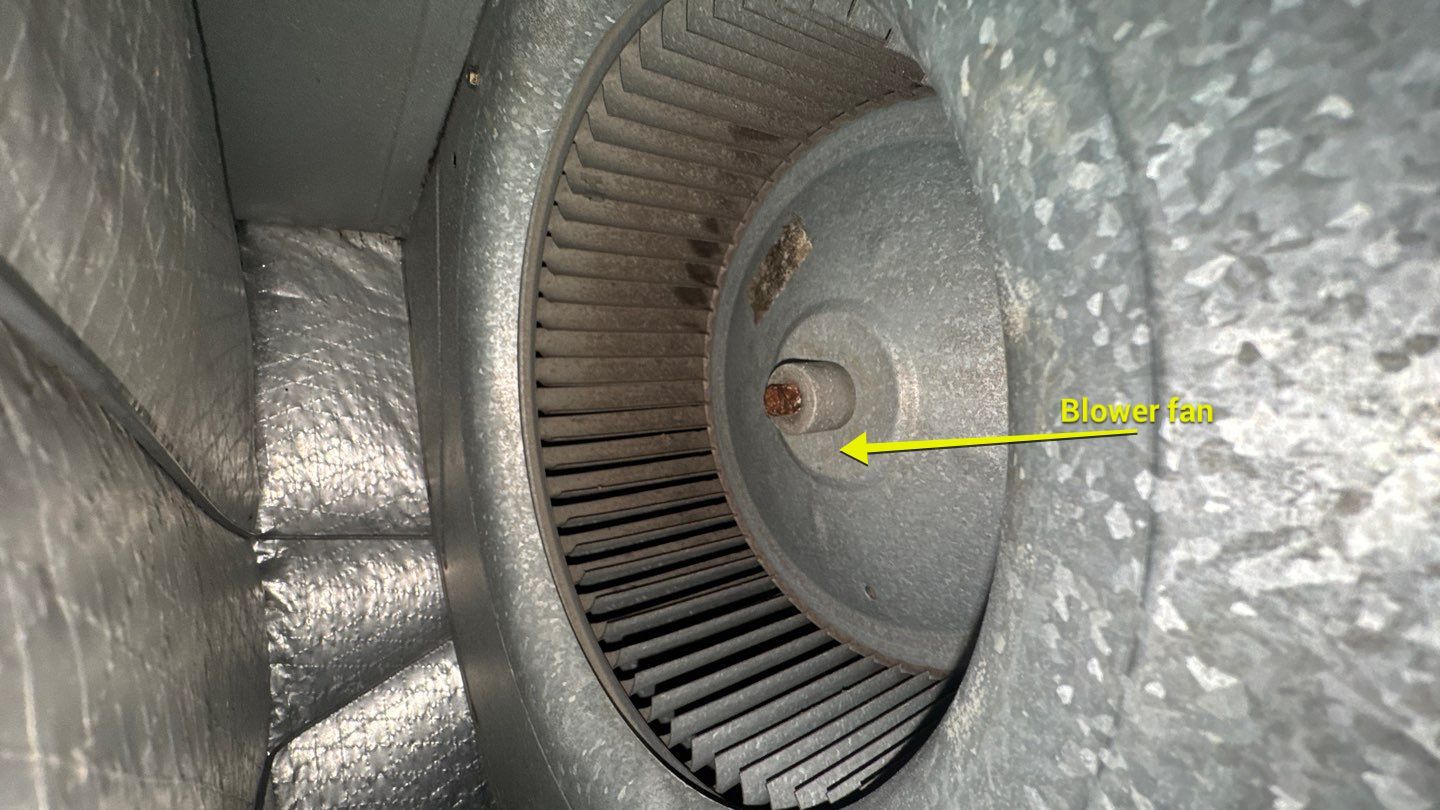 Air Duct and Dryer Vent Cleaning in Clermont by Hygienic Air, Inc