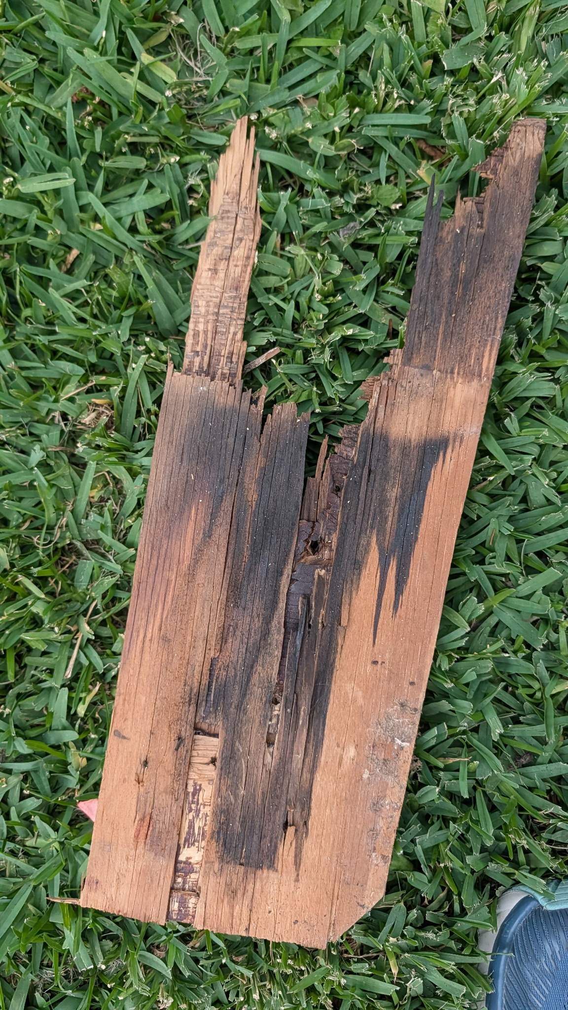 Project in Spring by Roof Guard And Construction