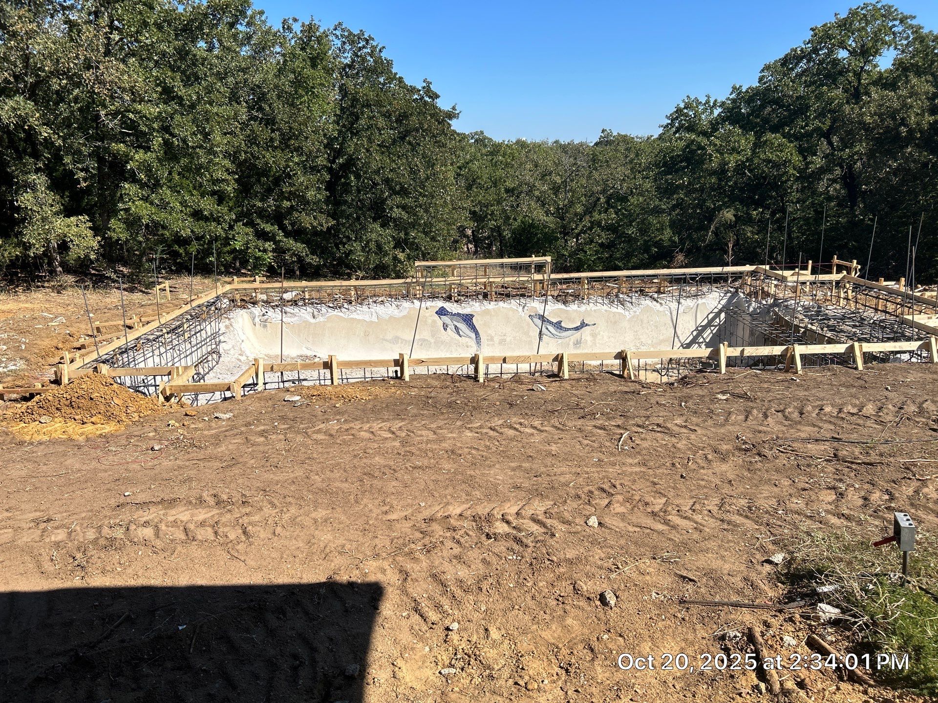 Modern Geometric Pool with Raised Spa and Turf Accents by Pinnacle Pools and Spas - DFW