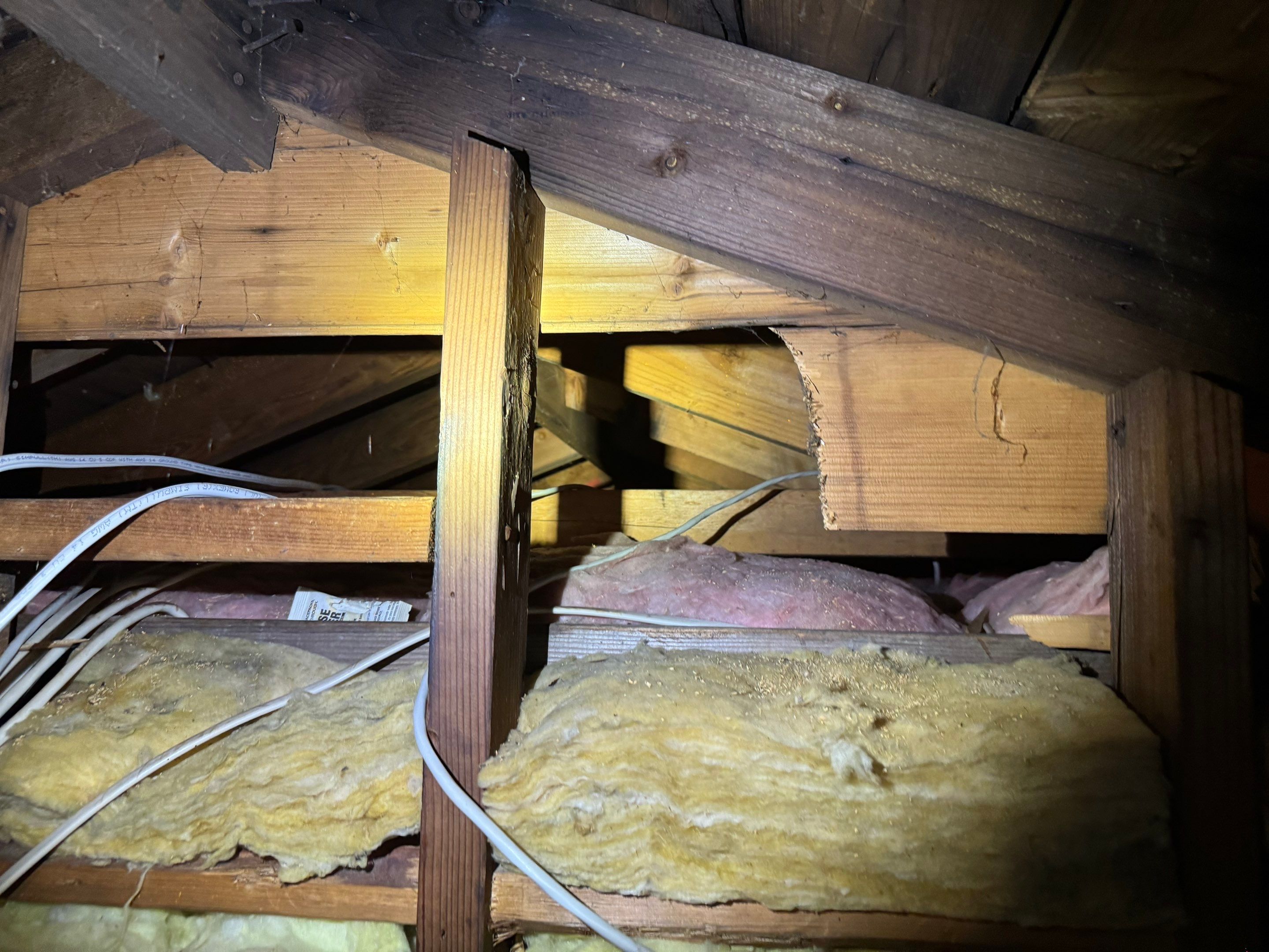 Attic & Sunroom Mold Remediation by Home Guarantee, LLC