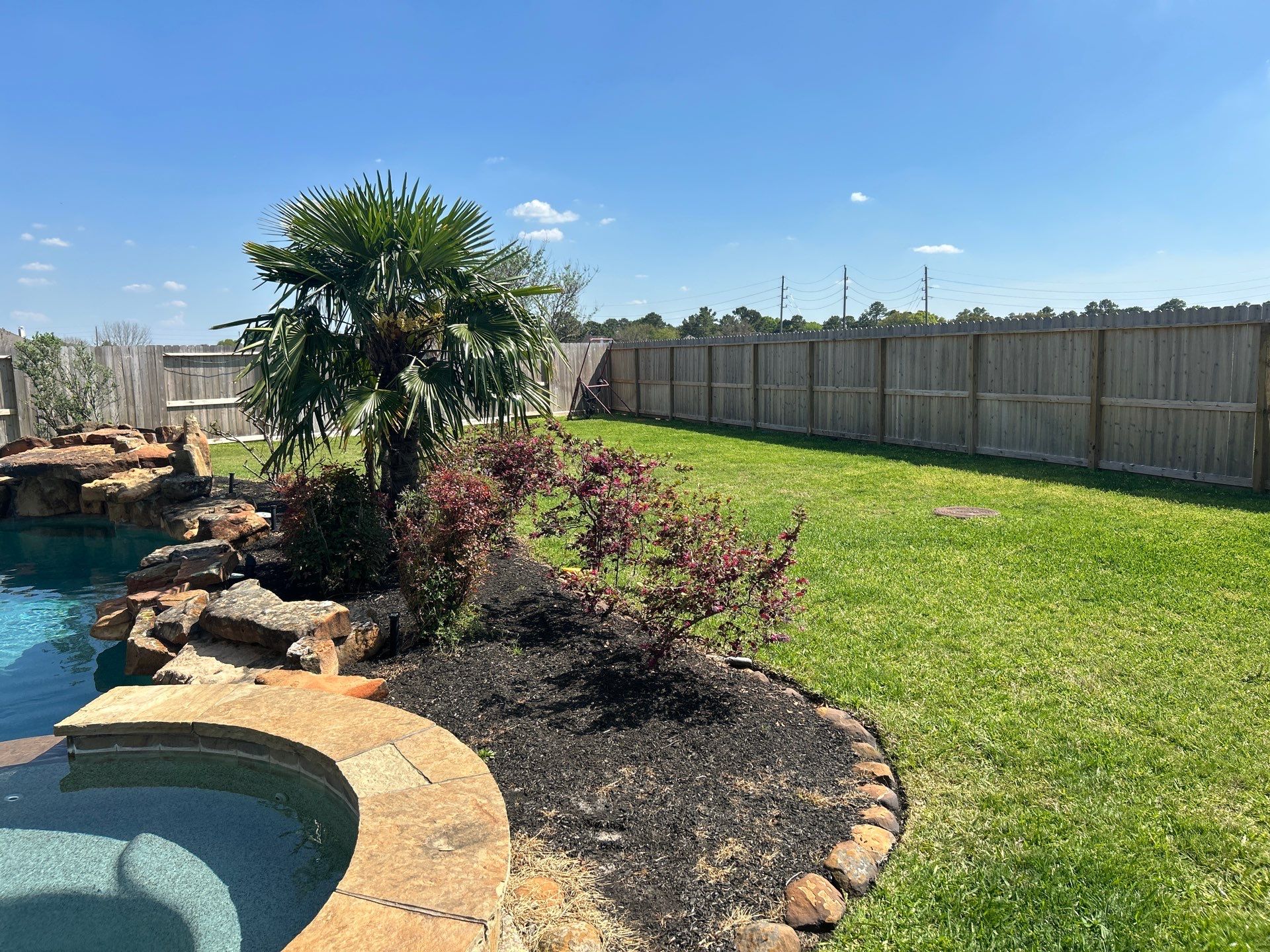 🌿 Larry Caudillo’s Poolside Landscape Revamp by Texas Urban Elements