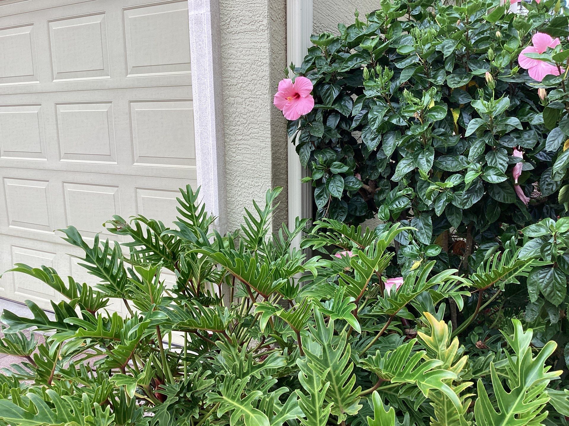 Gutter Project 7 inch seamless gutters using Cameo Gutters in Sarasota FL by Gutter Professors