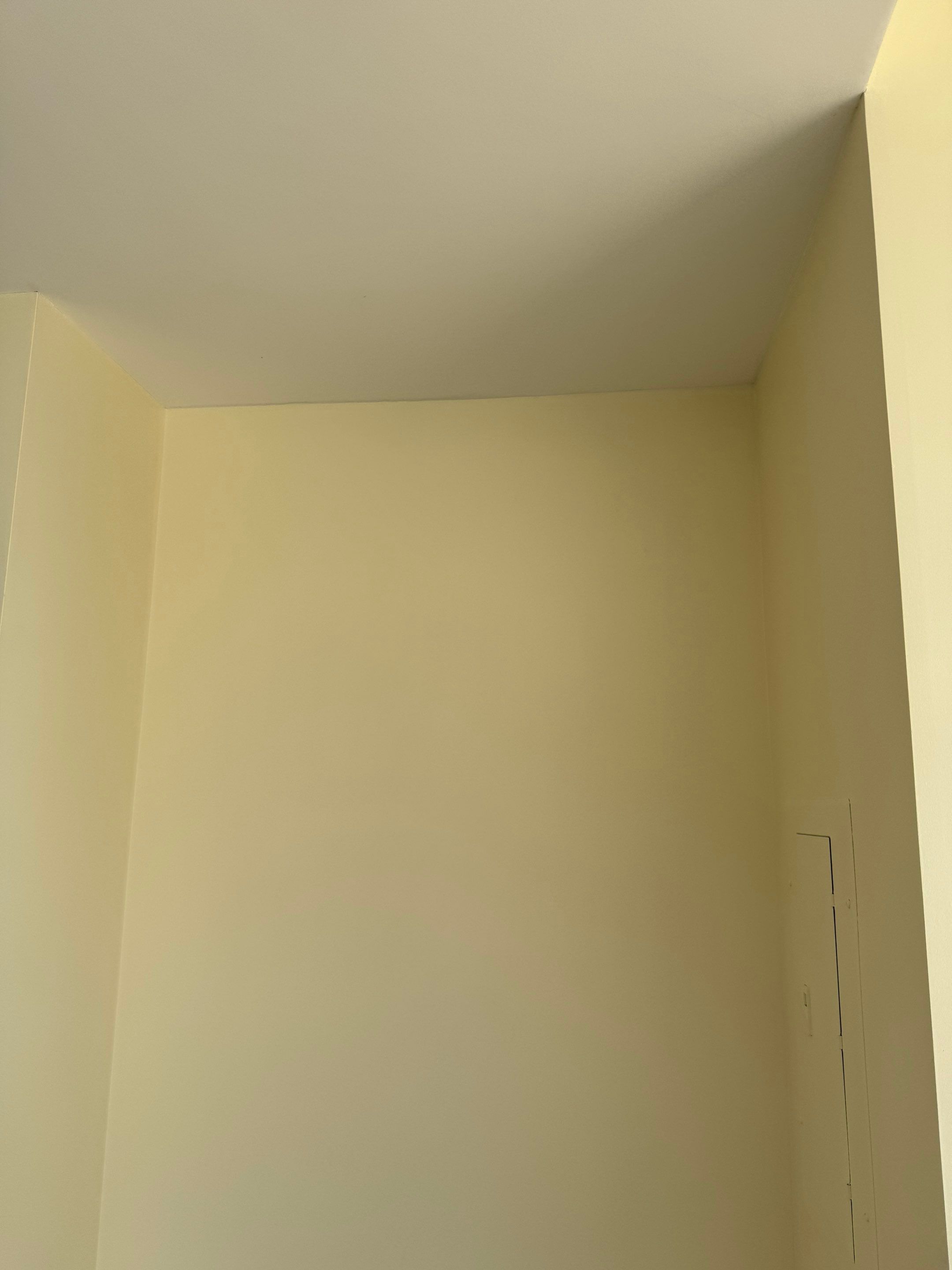Touch up and painting project  by YVR Construction Group