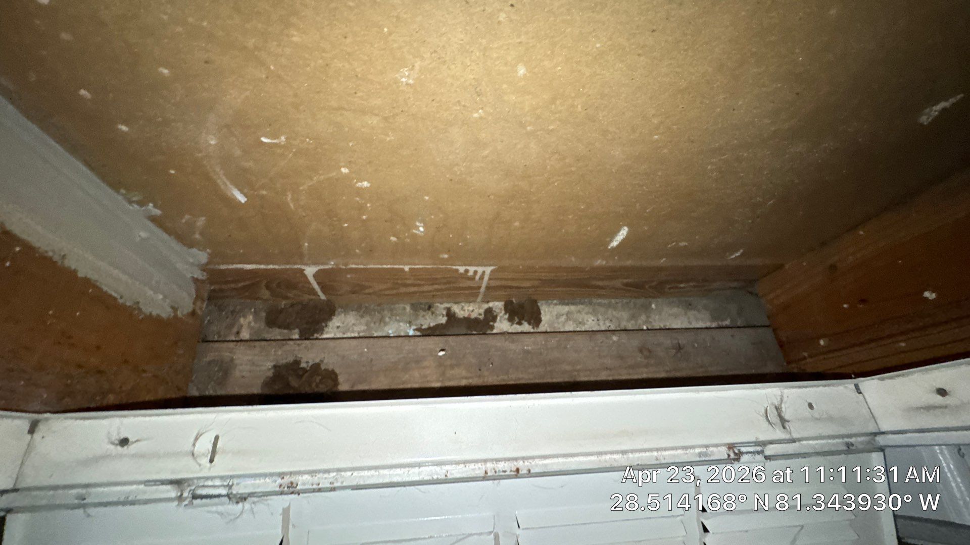 Air Duct Cleaning in Orlando by Hygienic Air, Inc