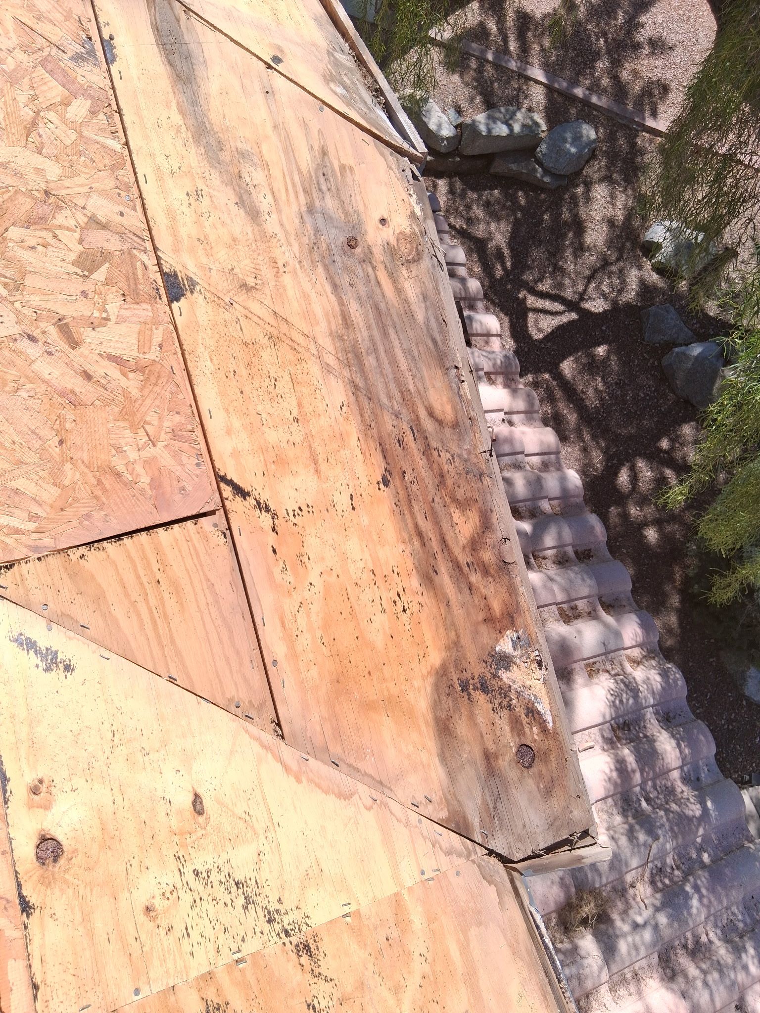 Project in Phoenix, AZ by Showtime Roofing & Coatings LLC