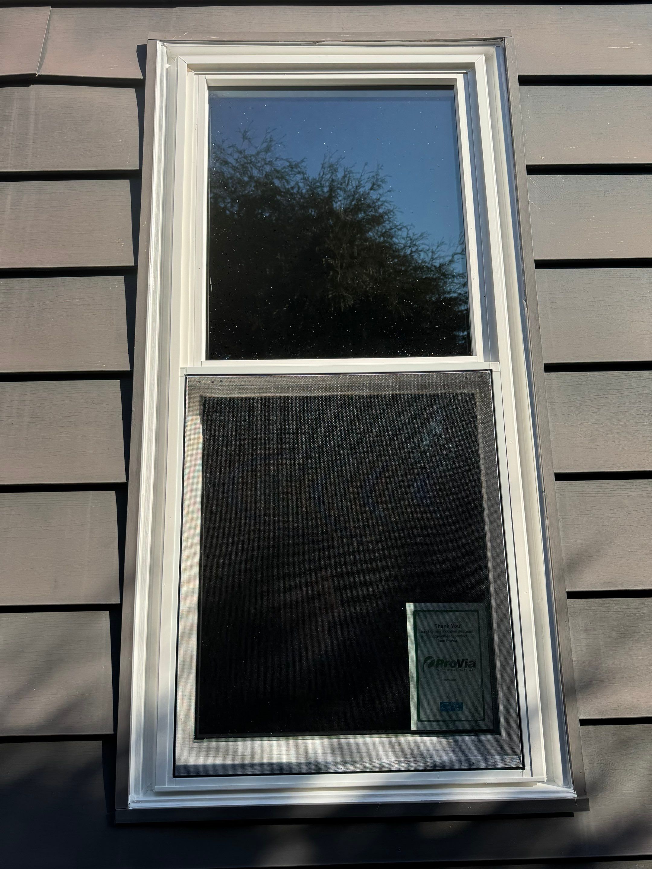 Windows in Canton by Ohio State Windows