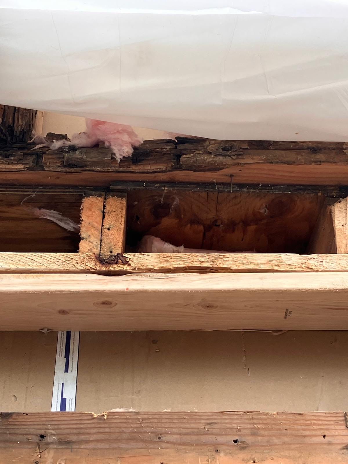 Back Wall Siding Replacement & Breezeway Roof. by Philadelphia Quality Roofing