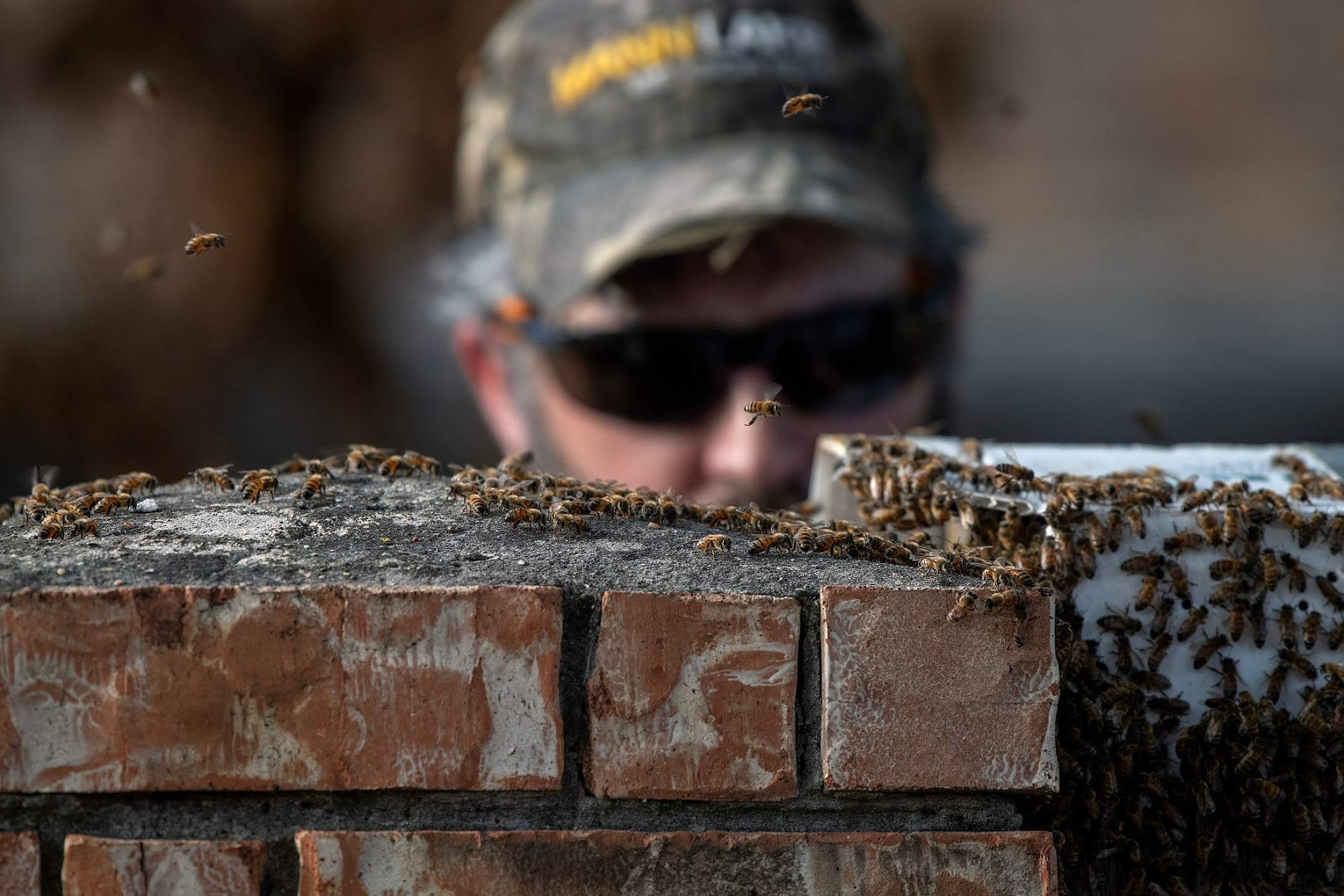 Brick Column by Rockwall Honey Bee Company