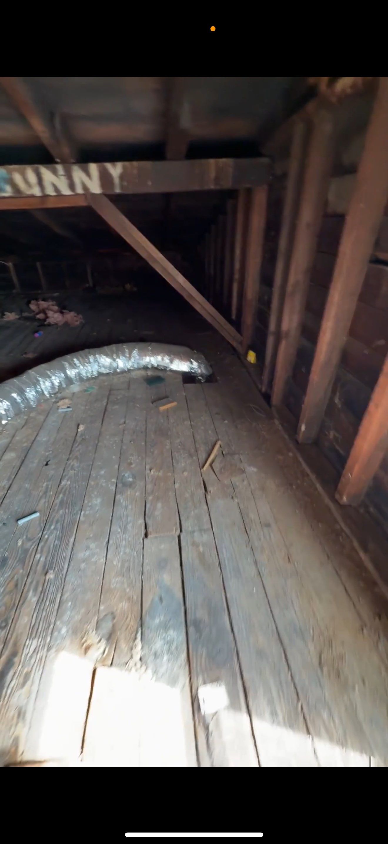 BIOHAZARD PIGEON FECES by Sadie’s Pro Cleaning