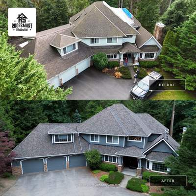 Tree Strike Roof Replacement in Sammamish