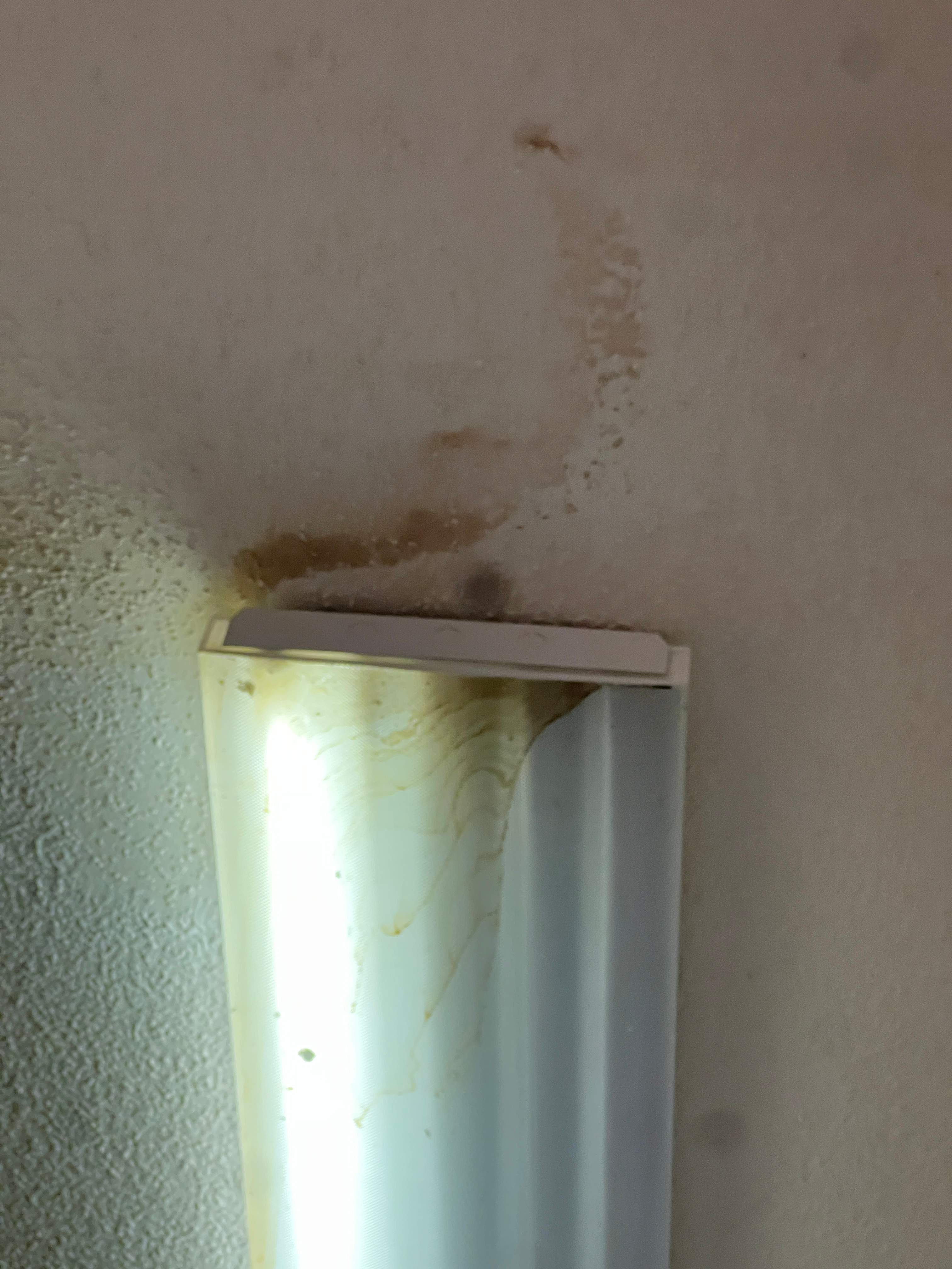Church Interior Repaint by Grandview Painting