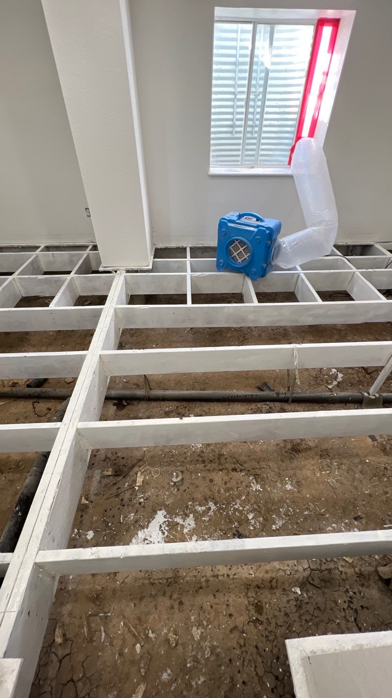 Mold Remediation by Accountable Home Services