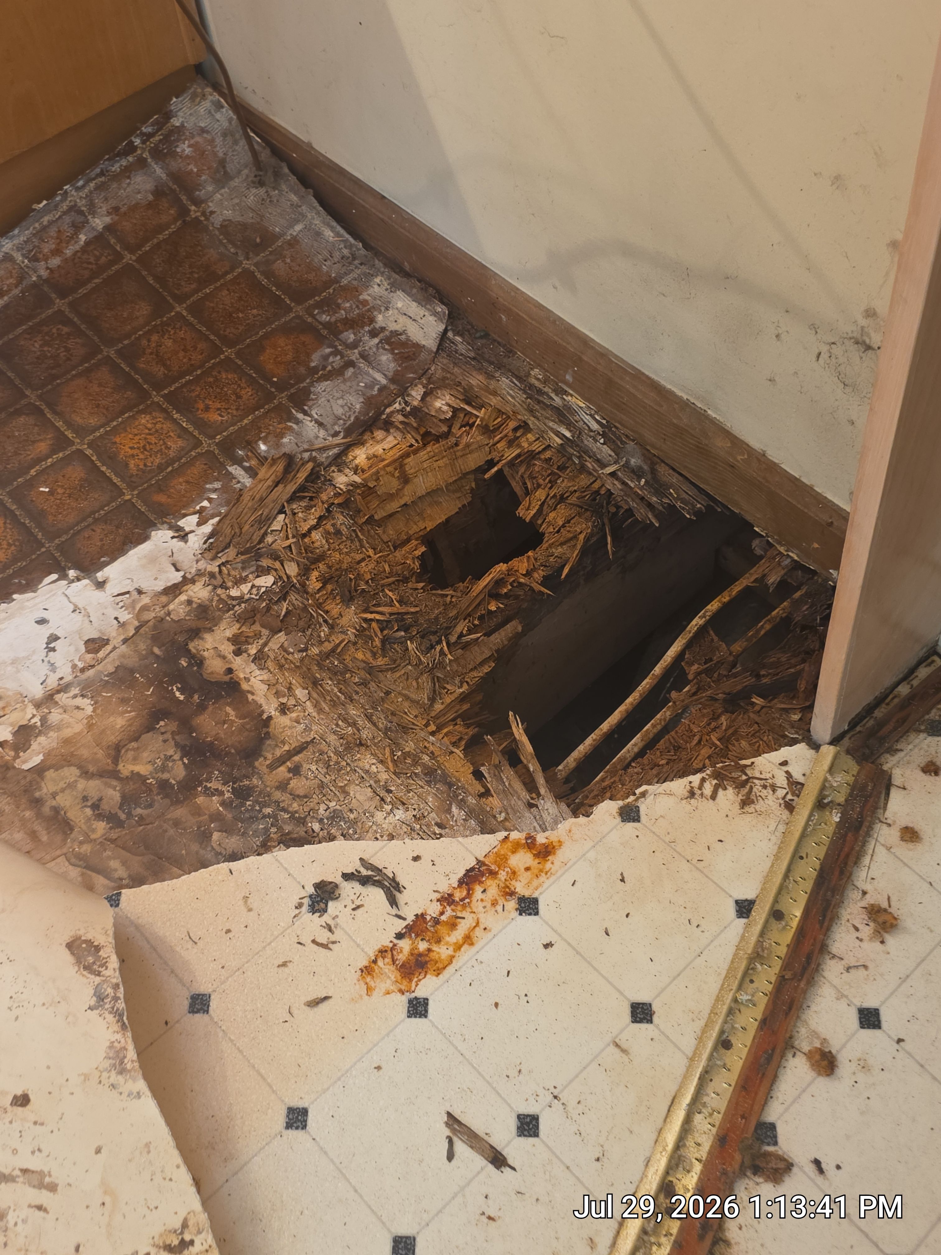 Full Home Subfloor Restoration and Luxury Vinyl Flooring Installation by Flooring Xpress CO