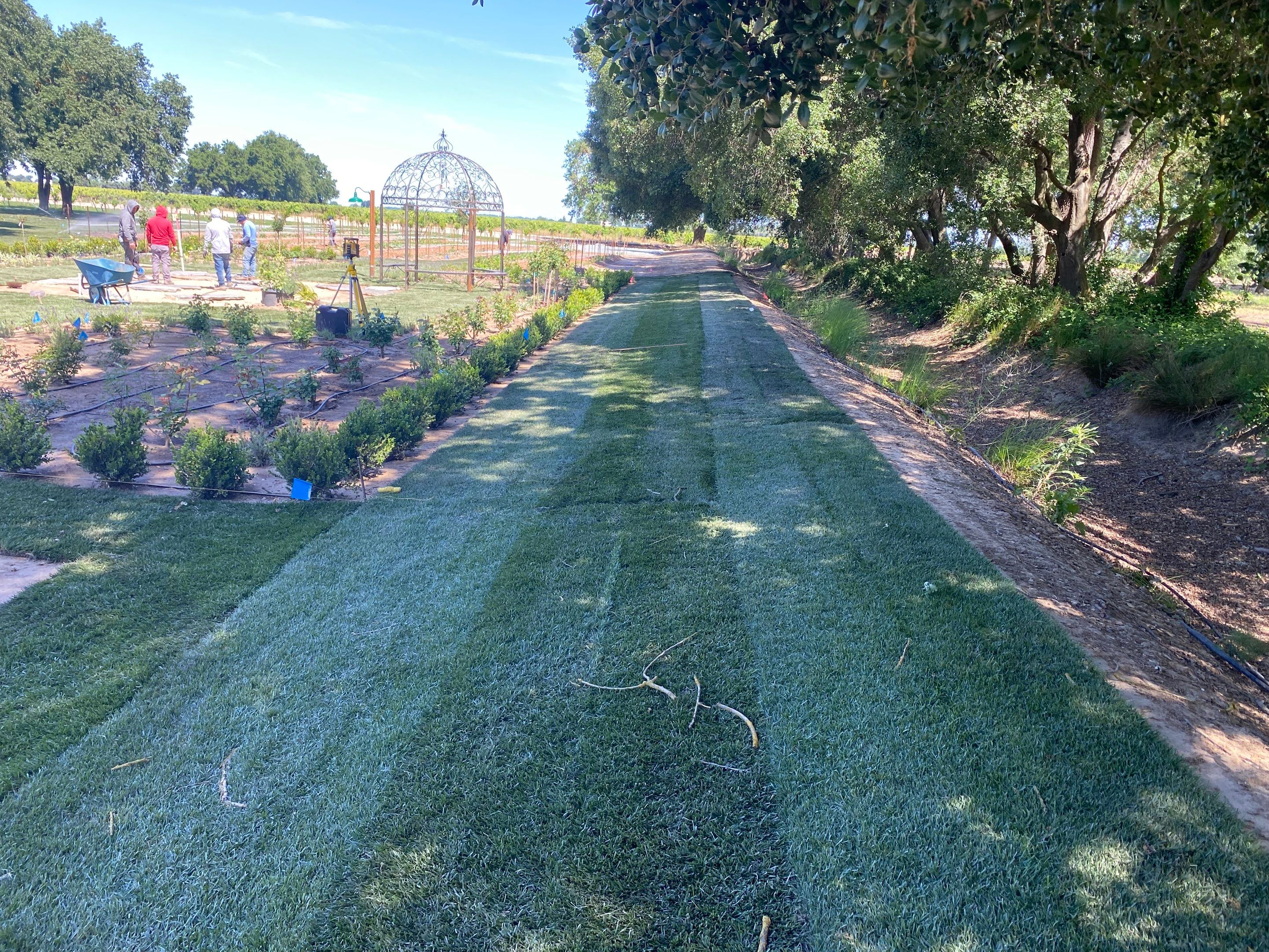 Project in Lodi by A - G Sod Farms